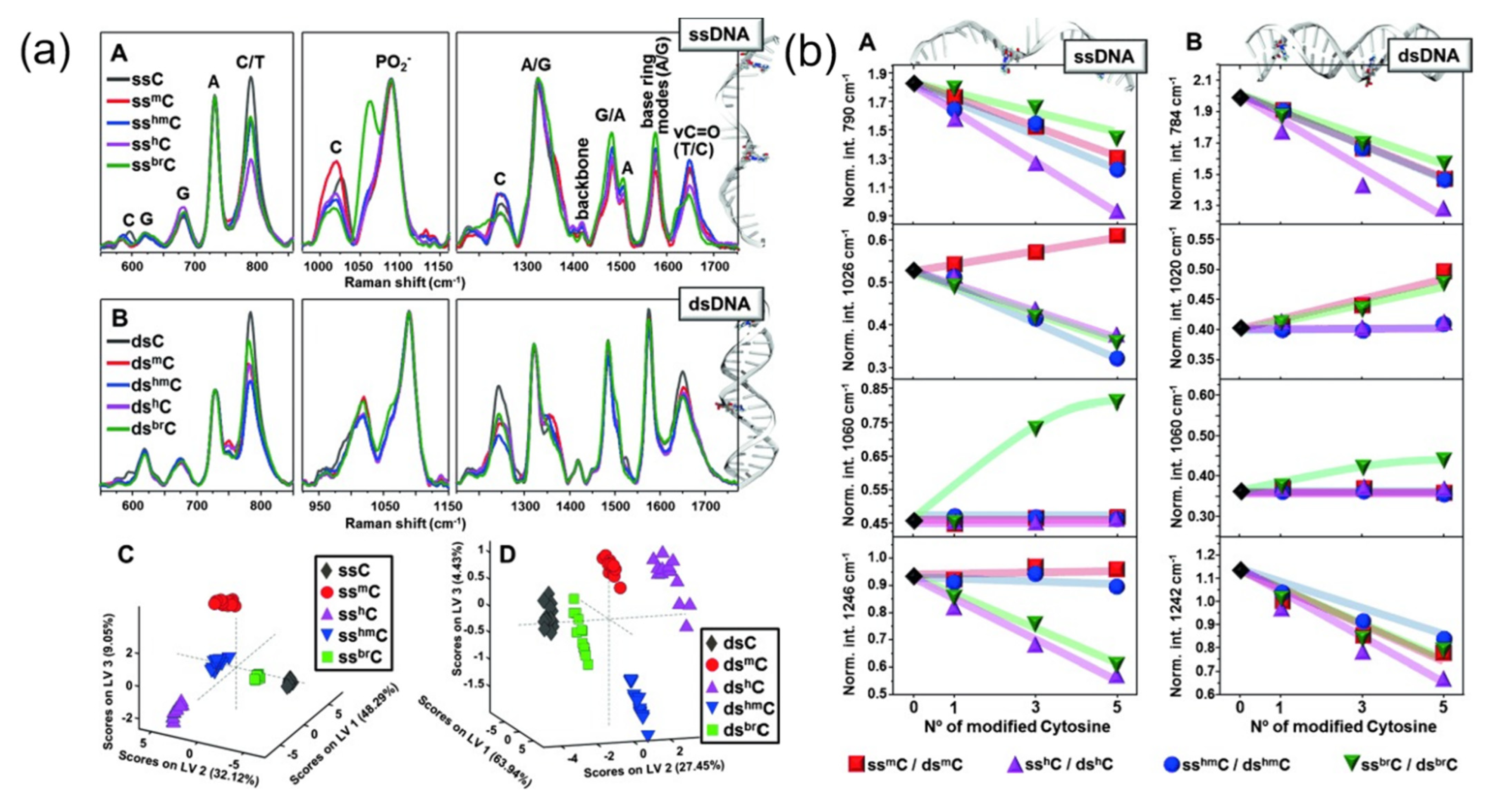 Nanomaterials 12 03572 g007 Nanomaterials 12 03572 g007