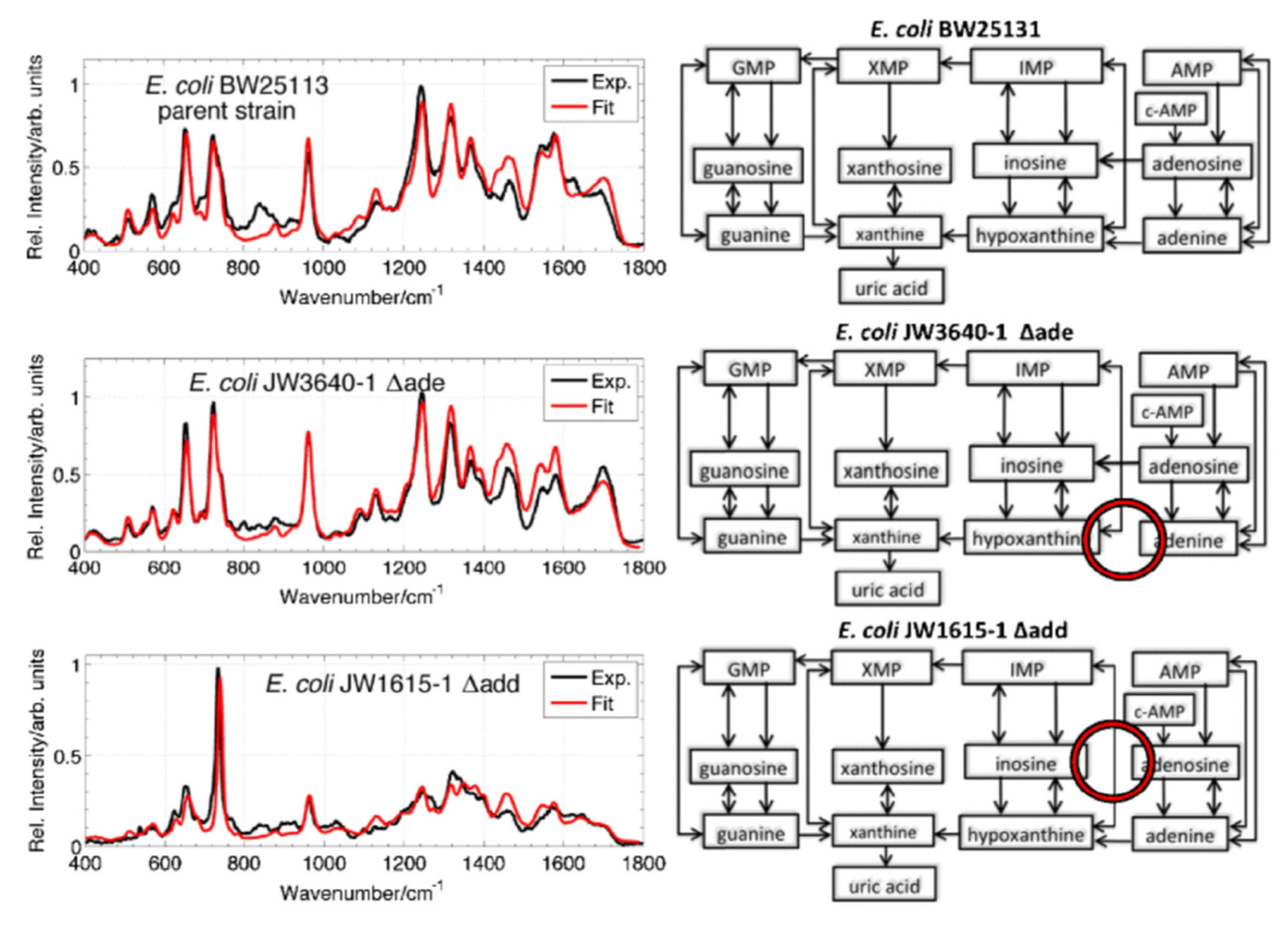 Nanomaterials 12 03572 g008 Nanomaterials 12 03572 g008