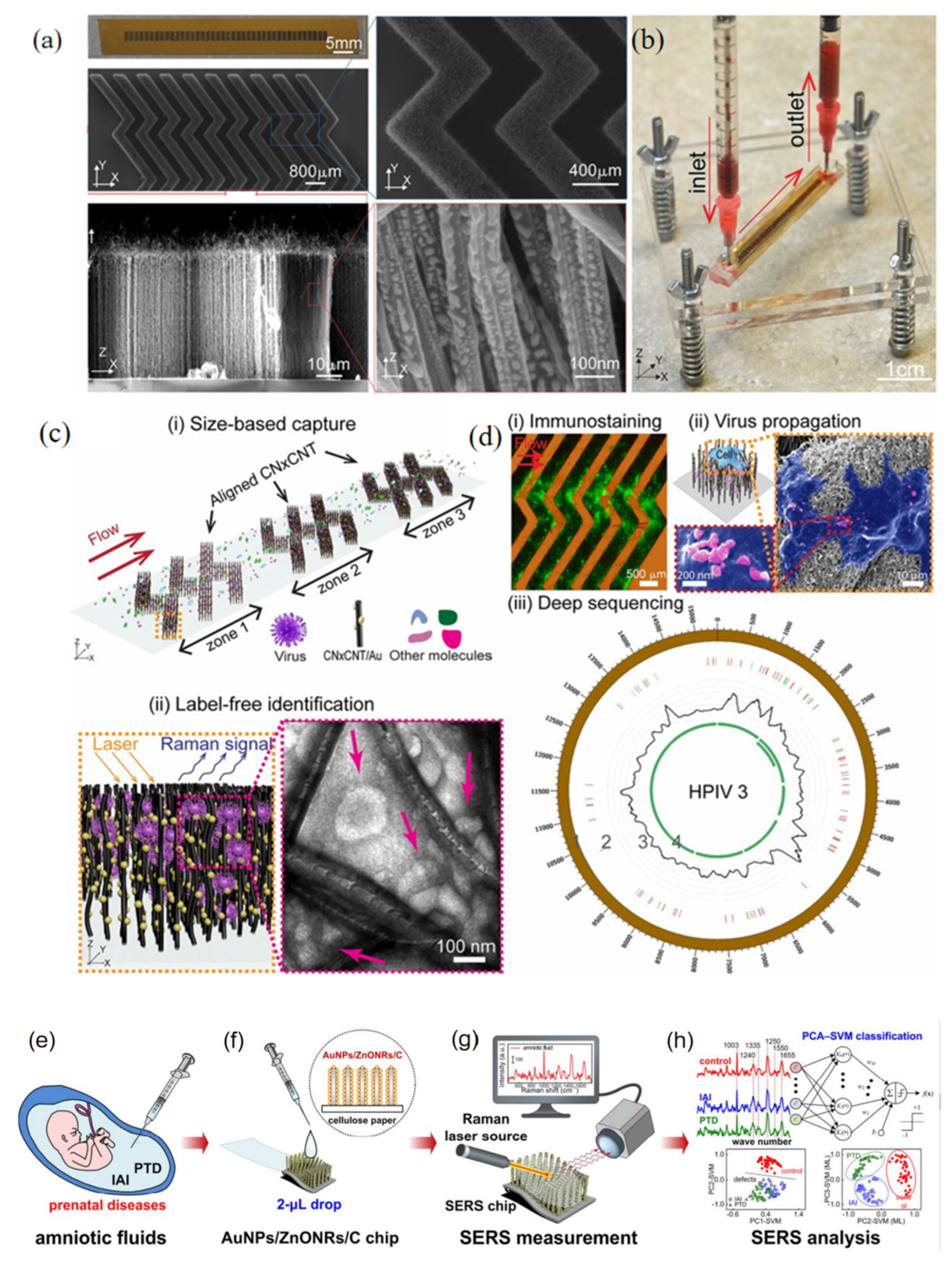 Nanomaterials 12 03572 g011 Nanomaterials 12 03572 g011