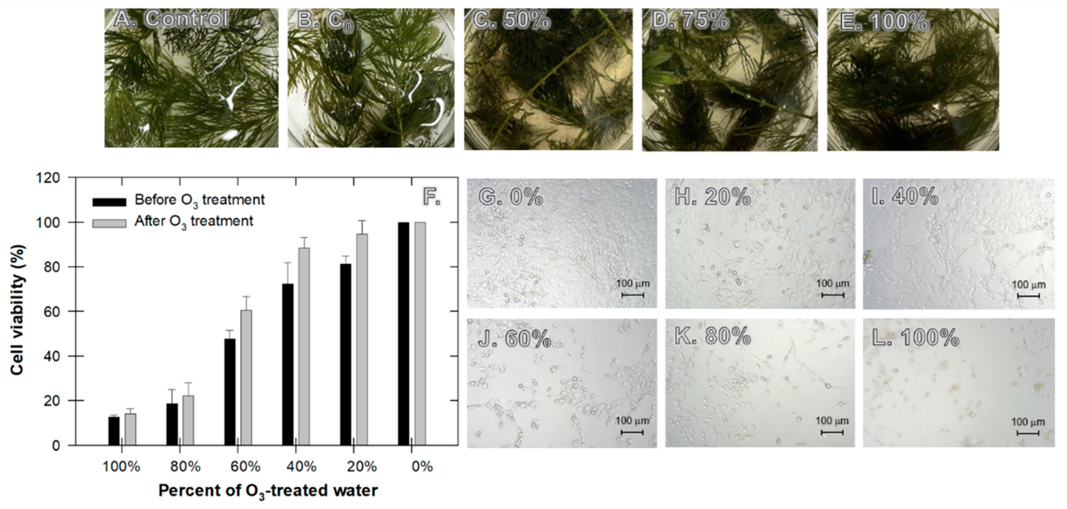 Nanomaterials 12 03573 g010 Nanomaterials 12 03573 g010