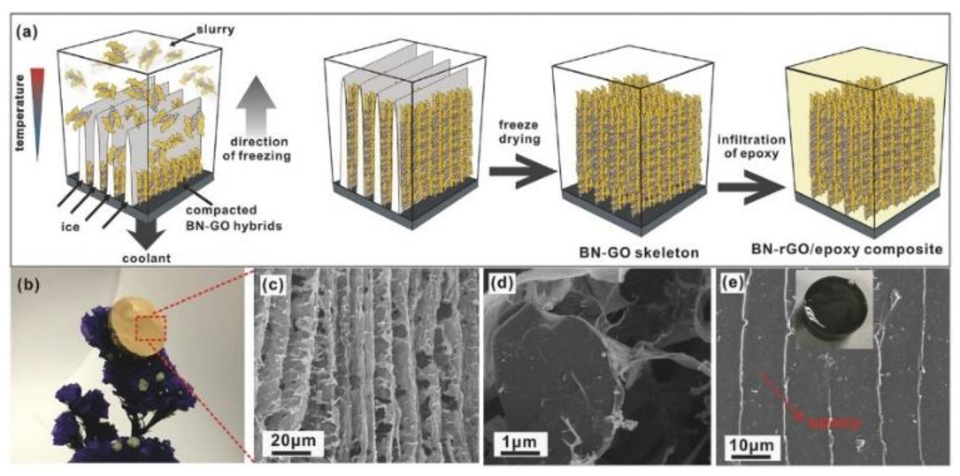 Nanomaterials 12 03574 g012