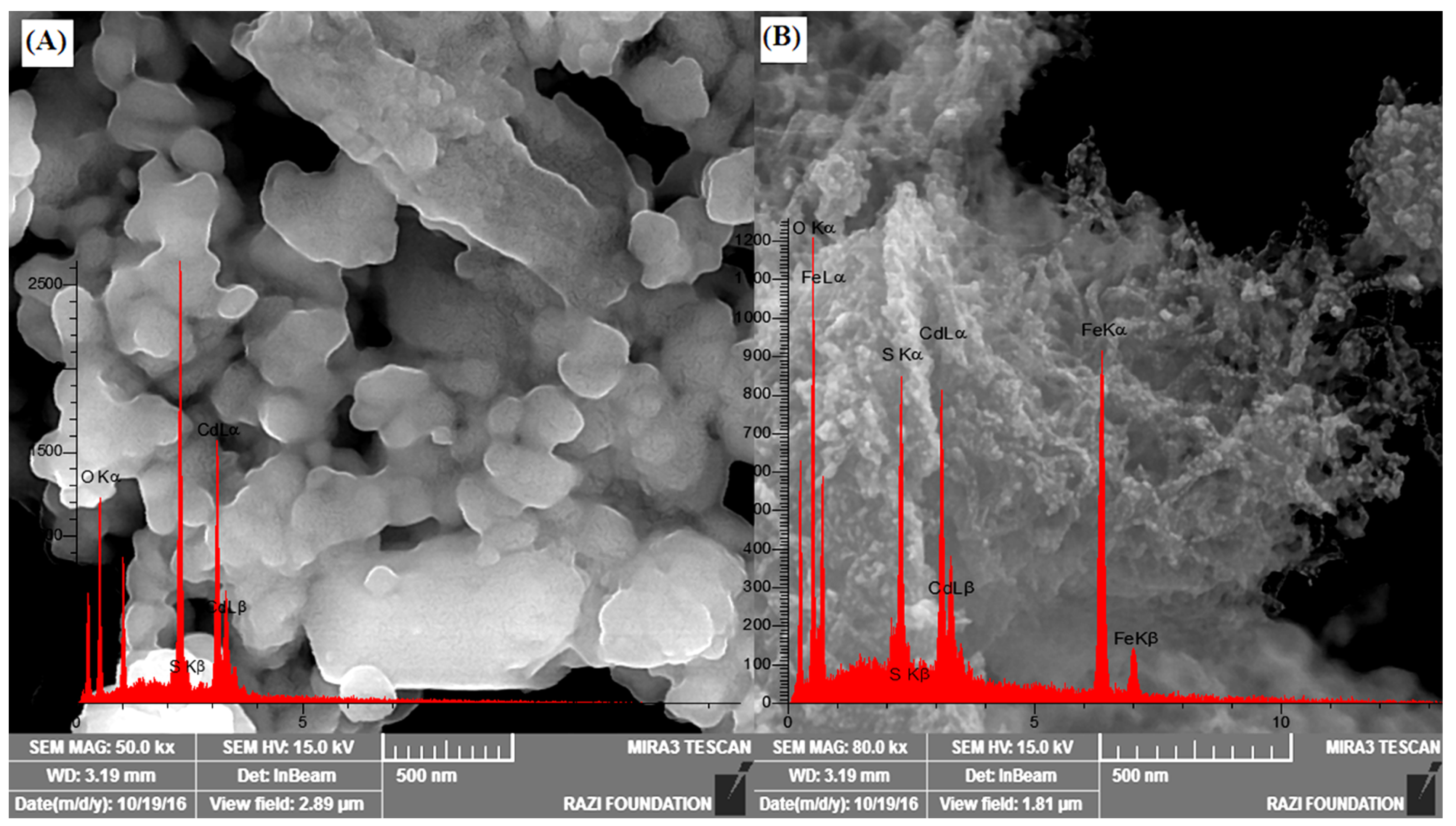 Nanomaterials 12 03576 g002 Nanomaterials 12 03576 g002