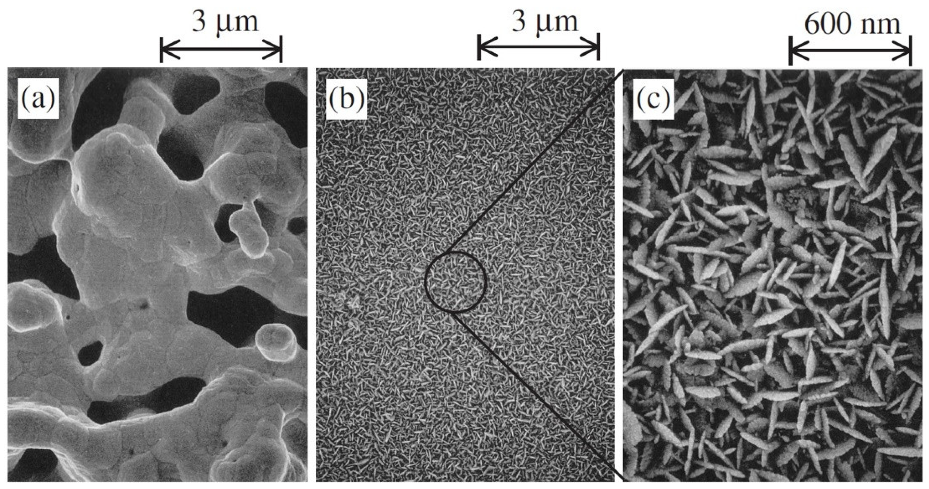 Nanomaterials 12 03581 g007 Nanomaterials 12 03581 g007