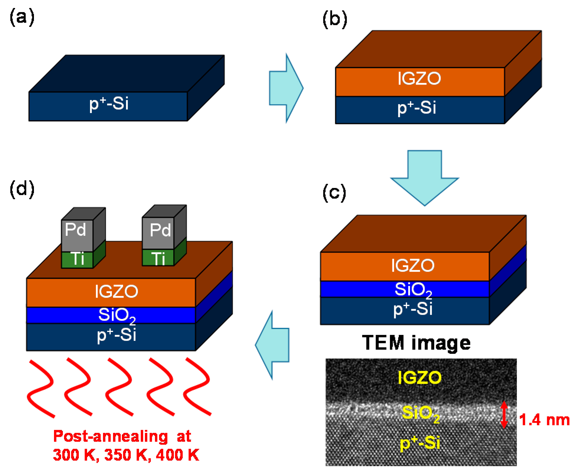 Nanomaterials 12 03582 g001