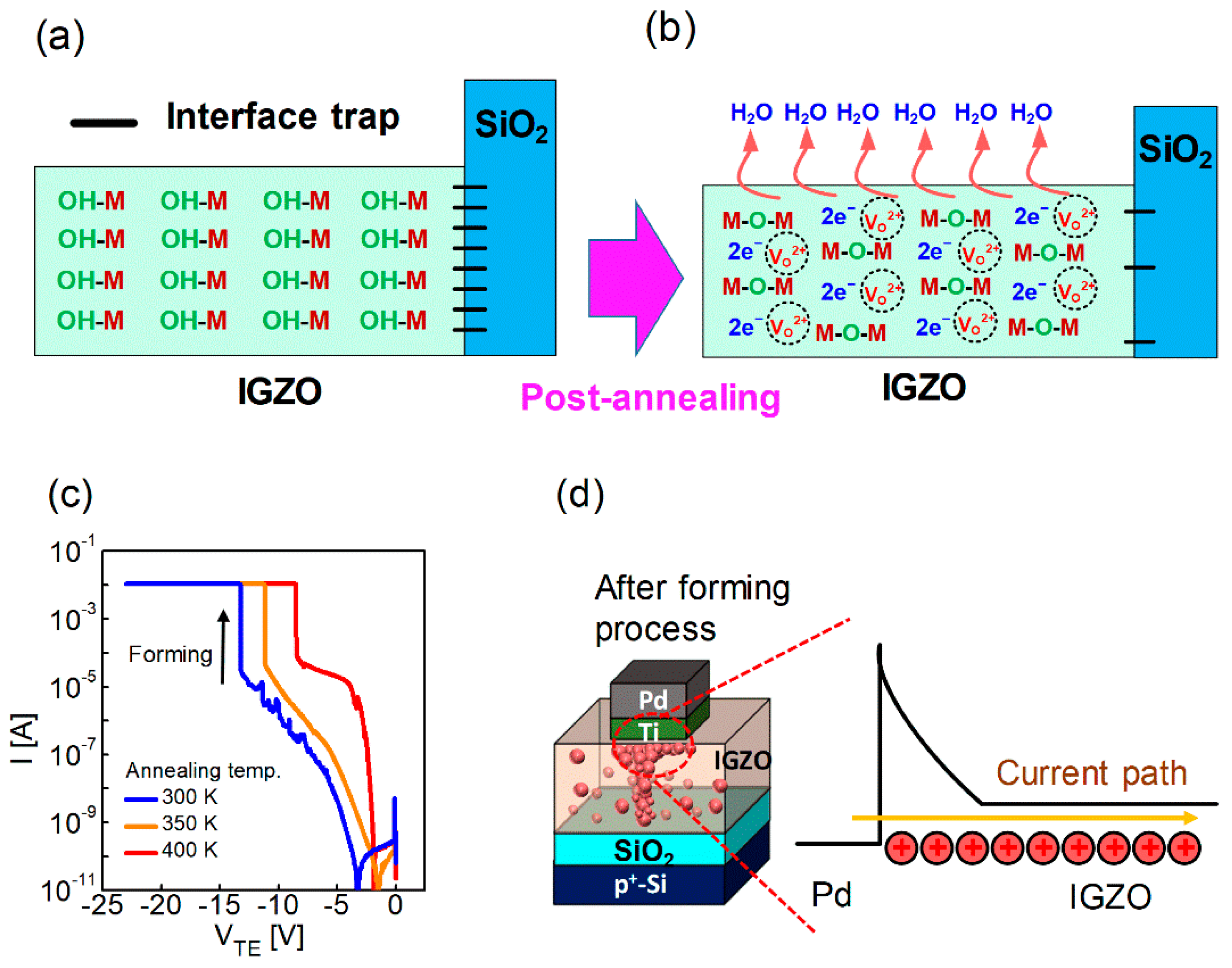 Nanomaterials 12 03582 g002