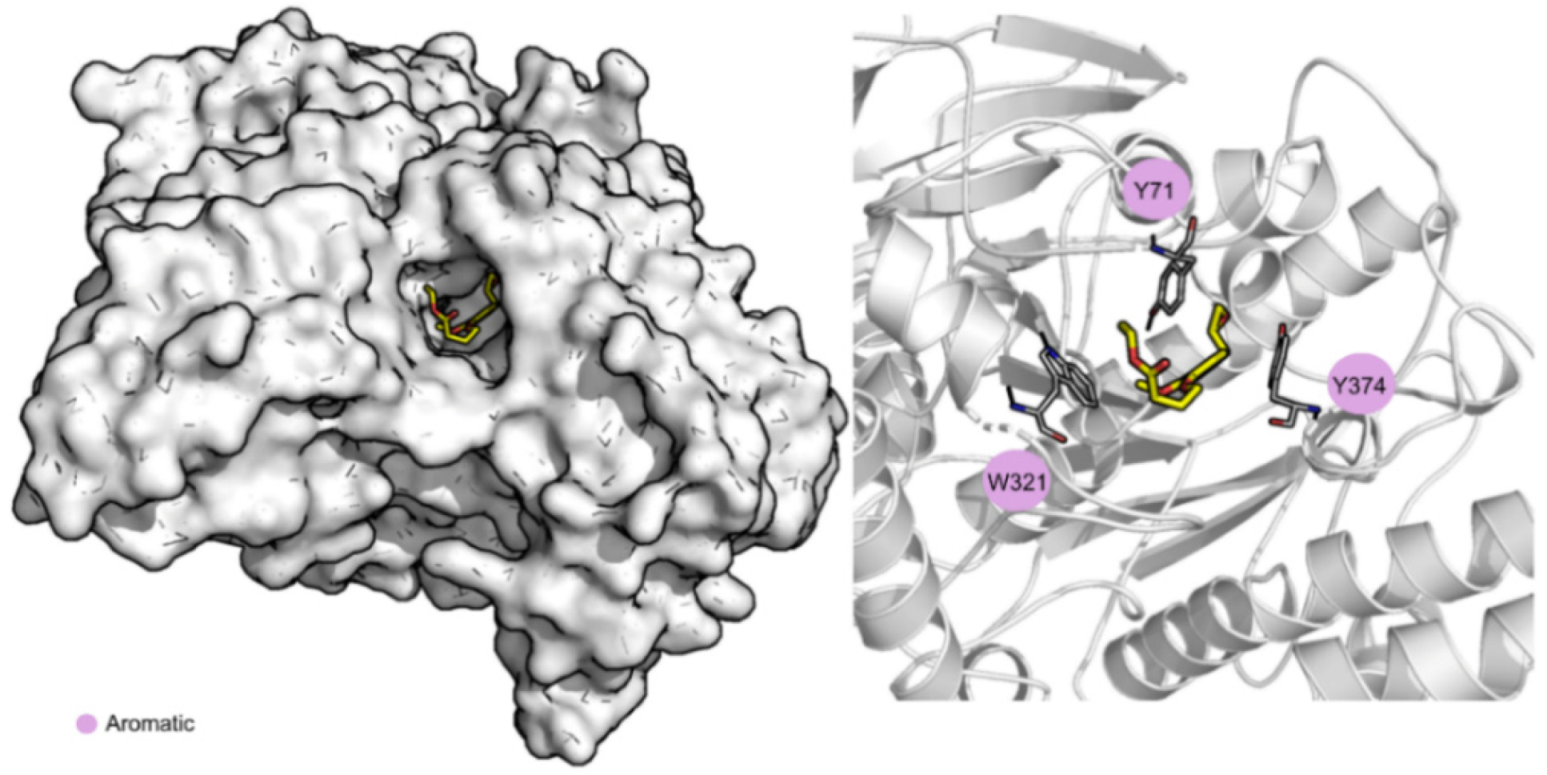 Nanomaterials 12 03583 g004 Nanomaterials 12 03583 g004