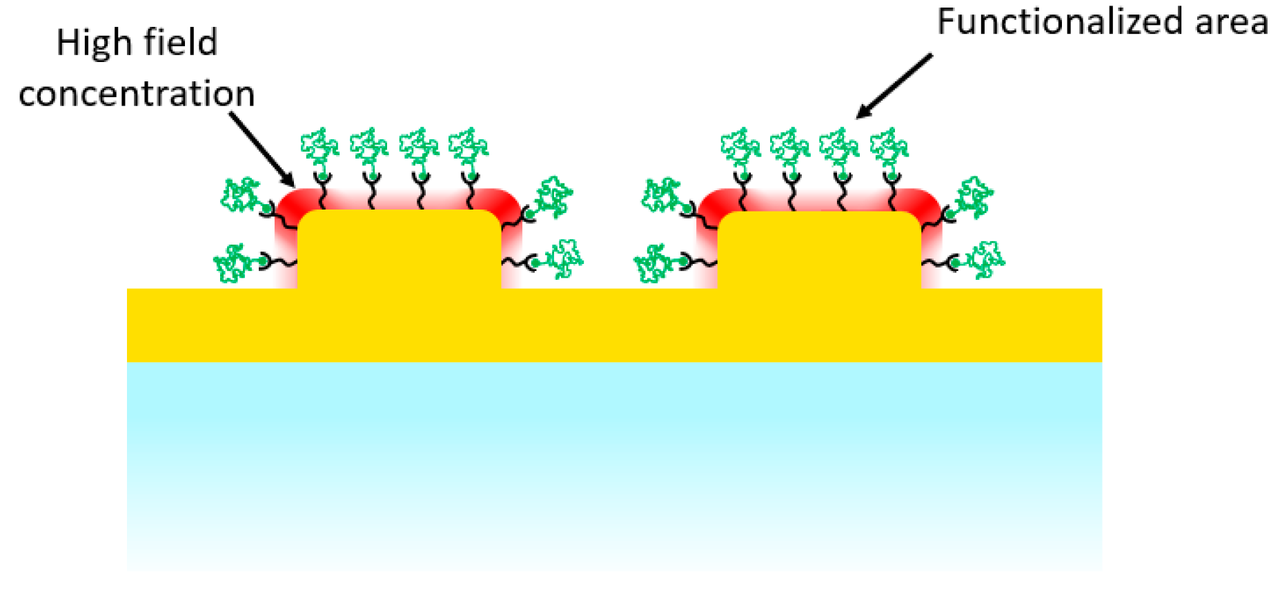 Nanomaterials 12 03586 g001