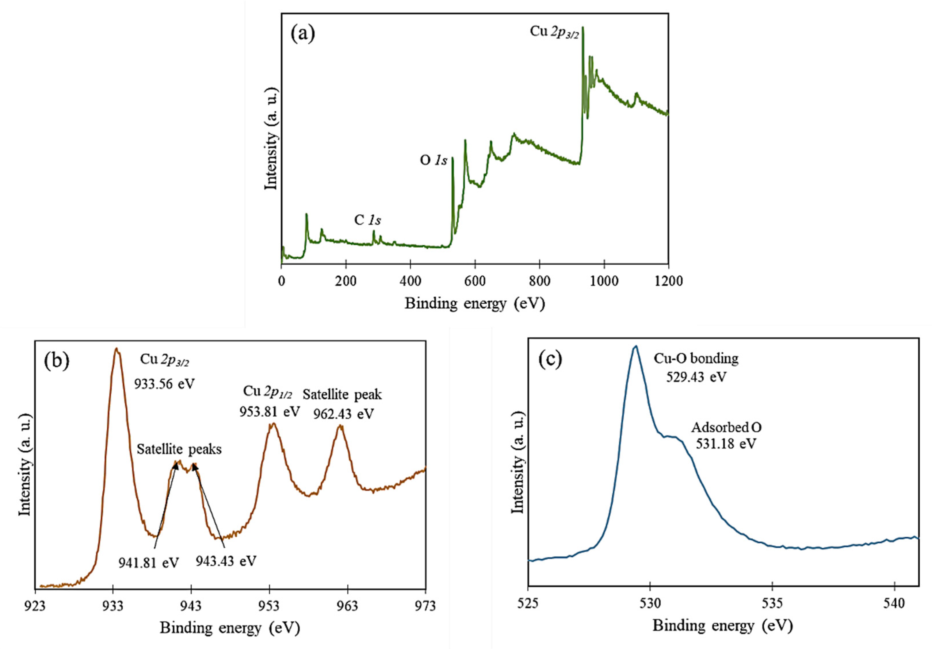 Nanomaterials 12 03589 g006 Nanomaterials 12 03589 g006