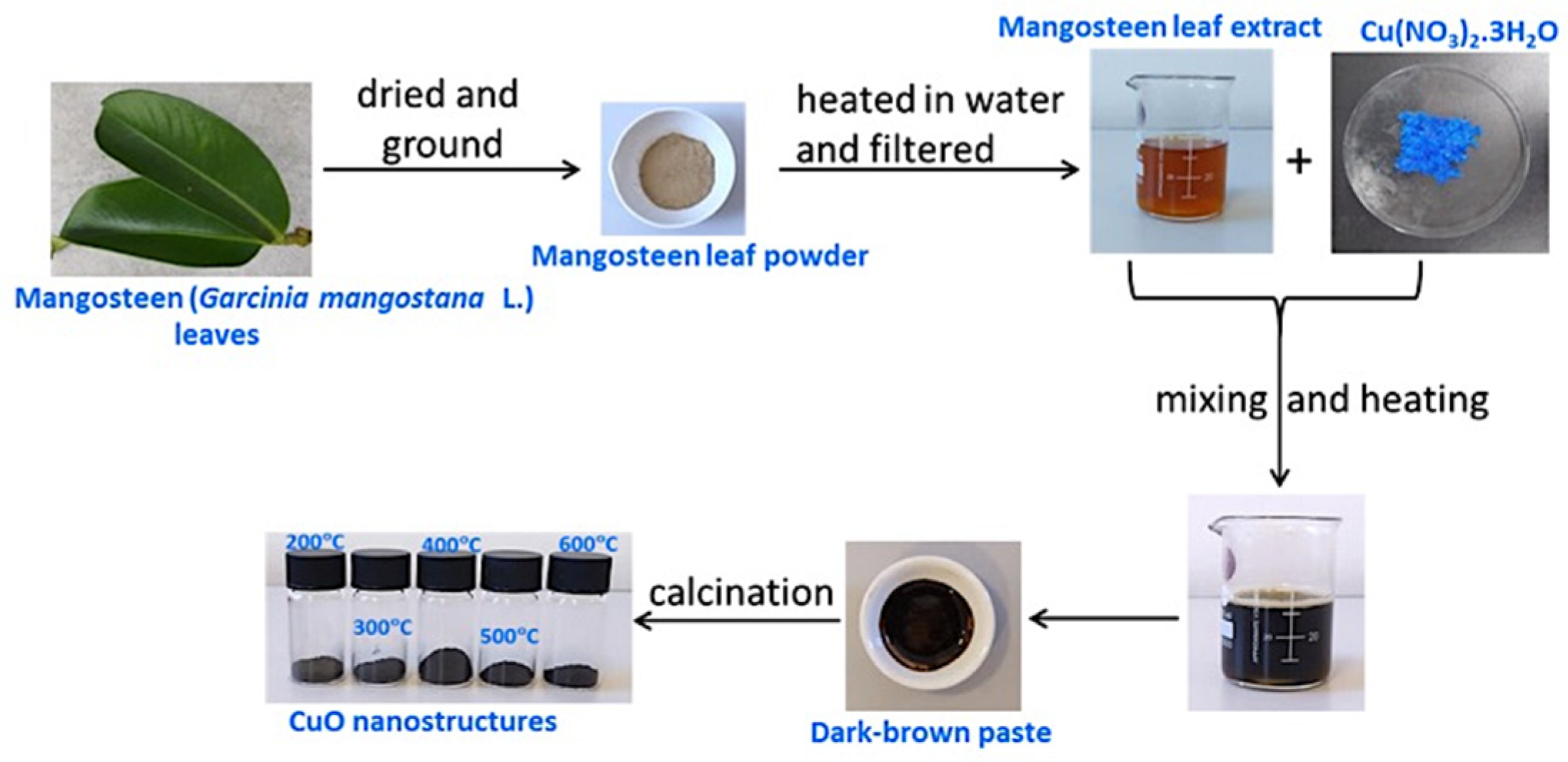 Nanomaterials 12 03589 sch001 Nanomaterials 12 03589 sch001