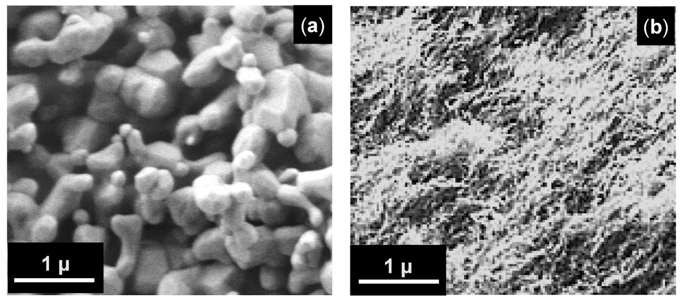 Nanomaterials 12 03591 g005 550