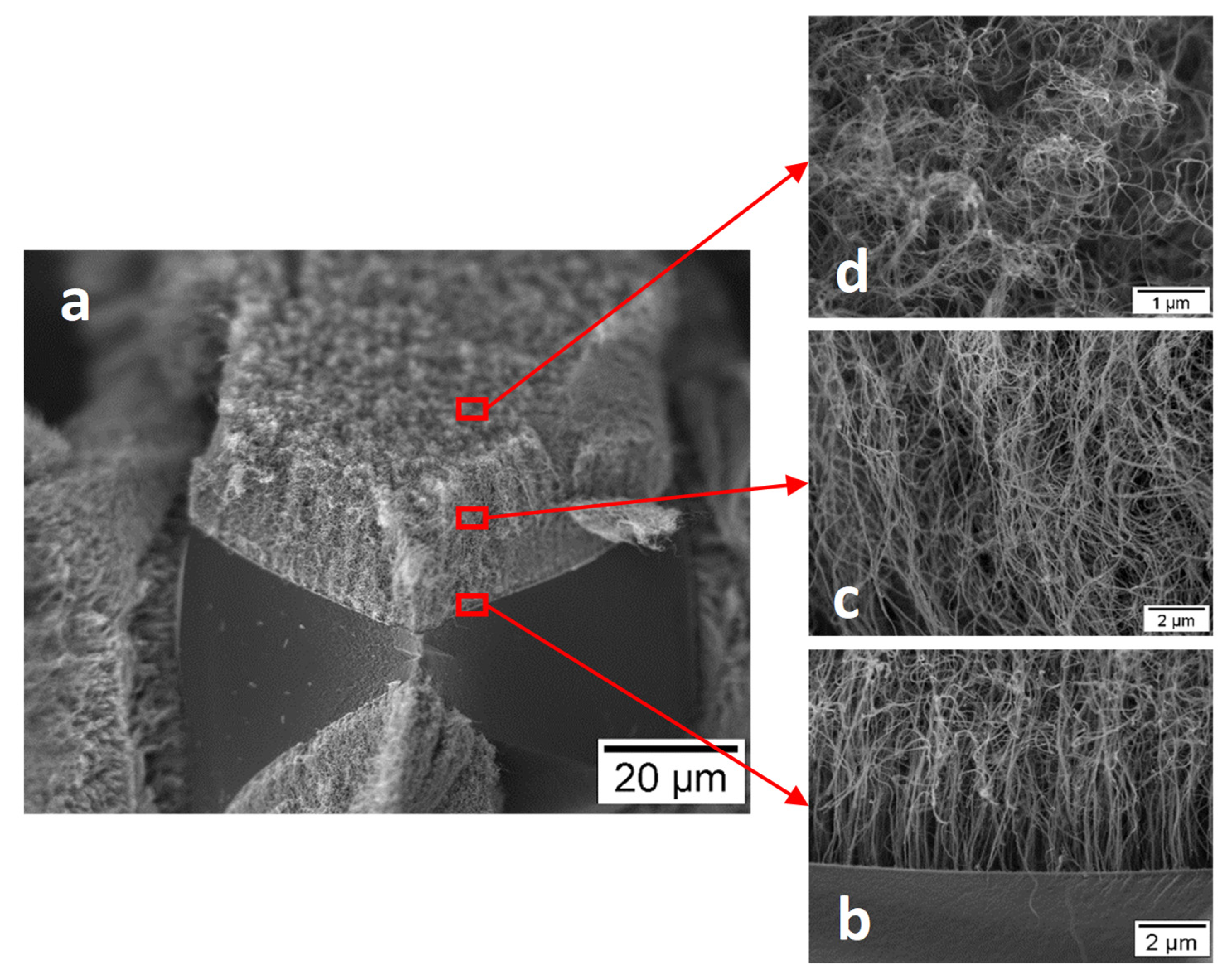 Nanomaterials 12 03593 g006a Nanomaterials 12 03593 g006a