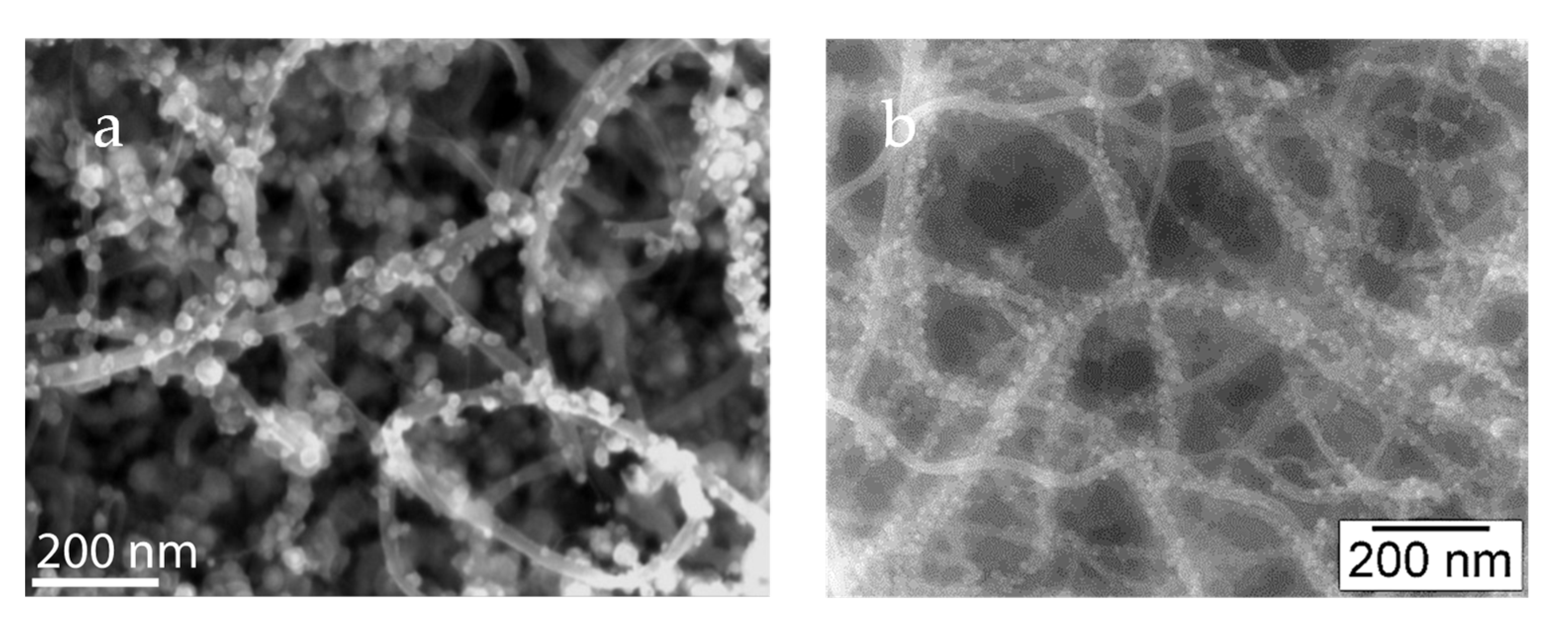 Nanomaterials 12 03593 g007 Nanomaterials 12 03593 g007