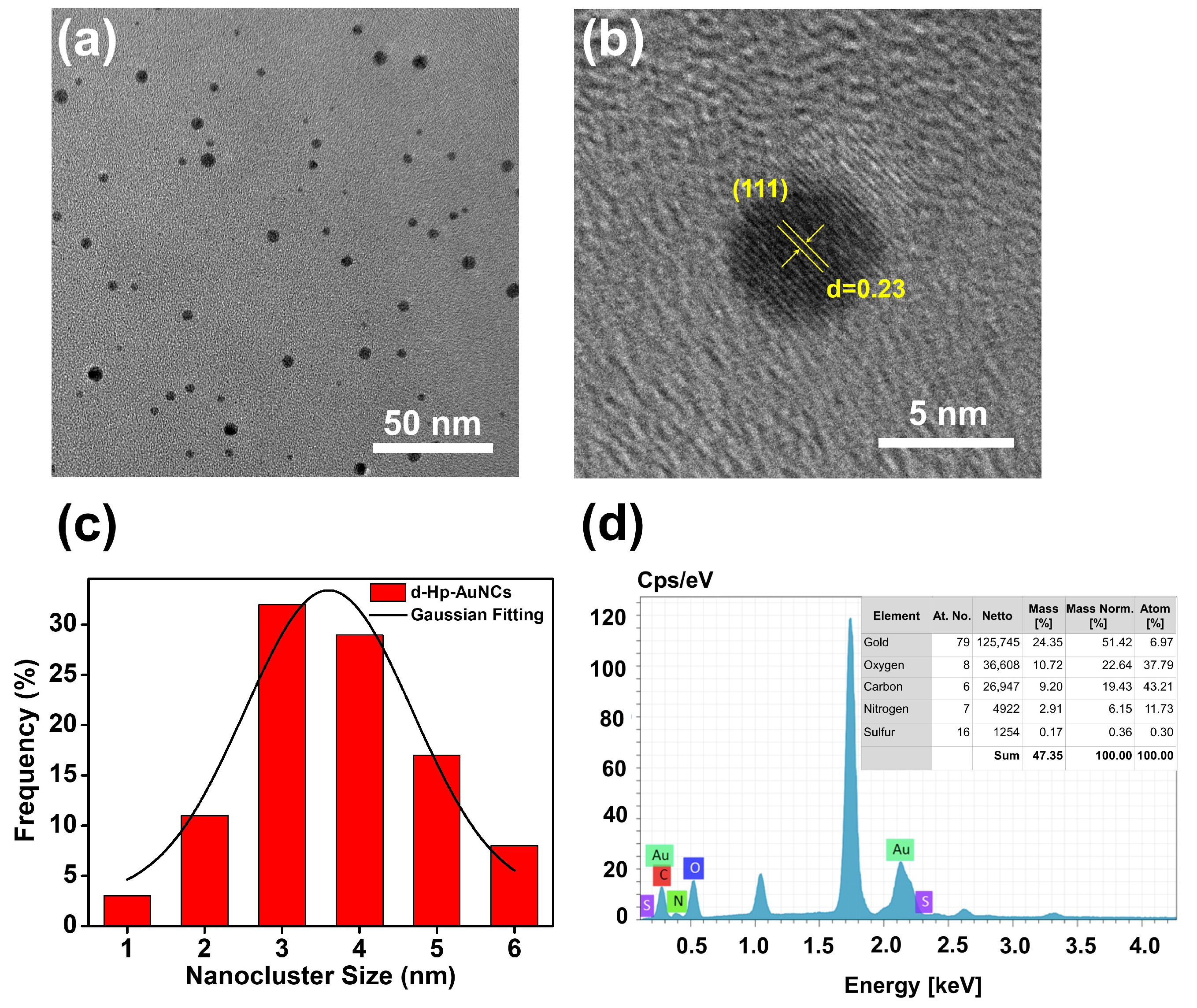 Nanomaterials 12 03596 g001