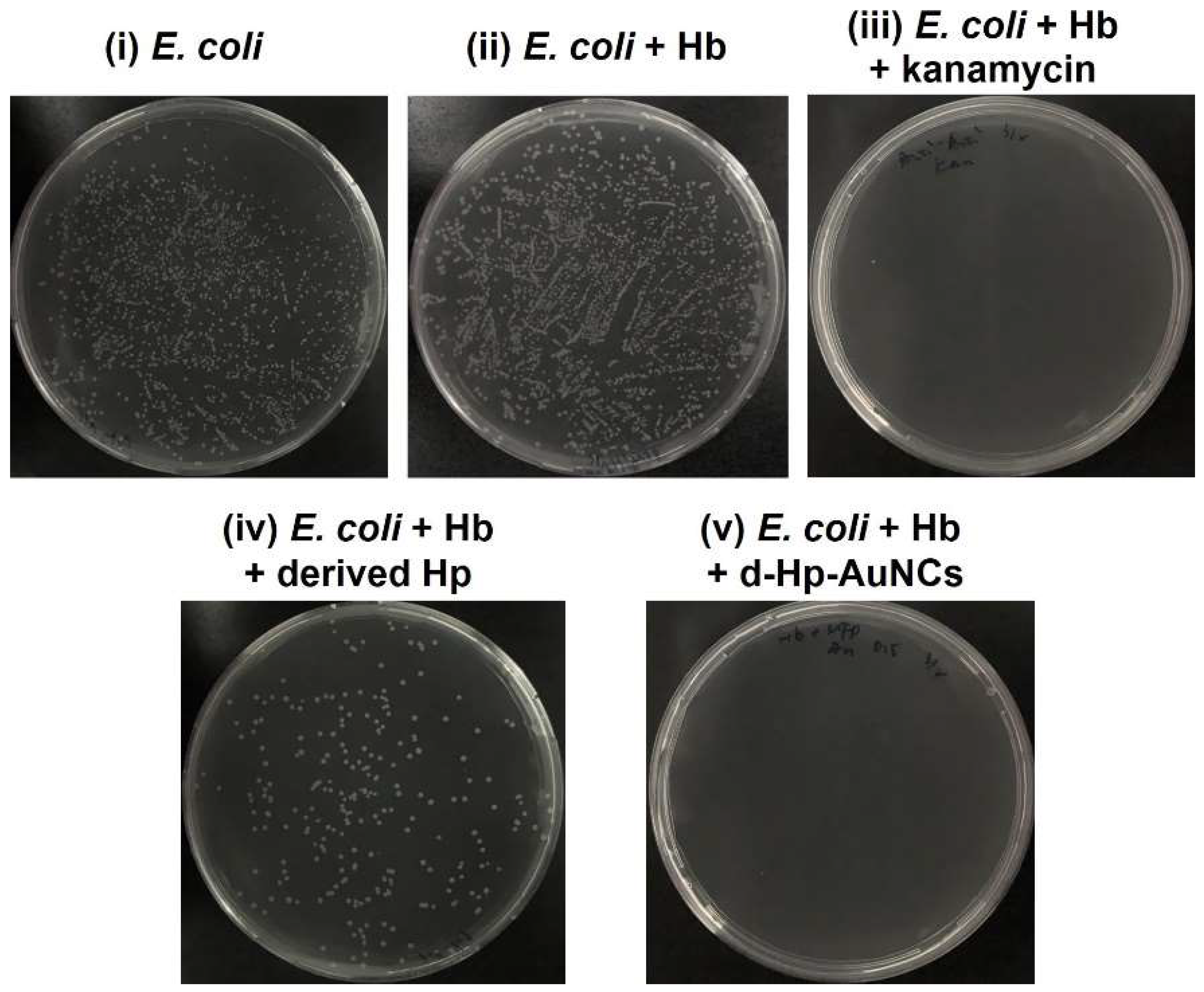 Nanomaterials 12 03596 g005