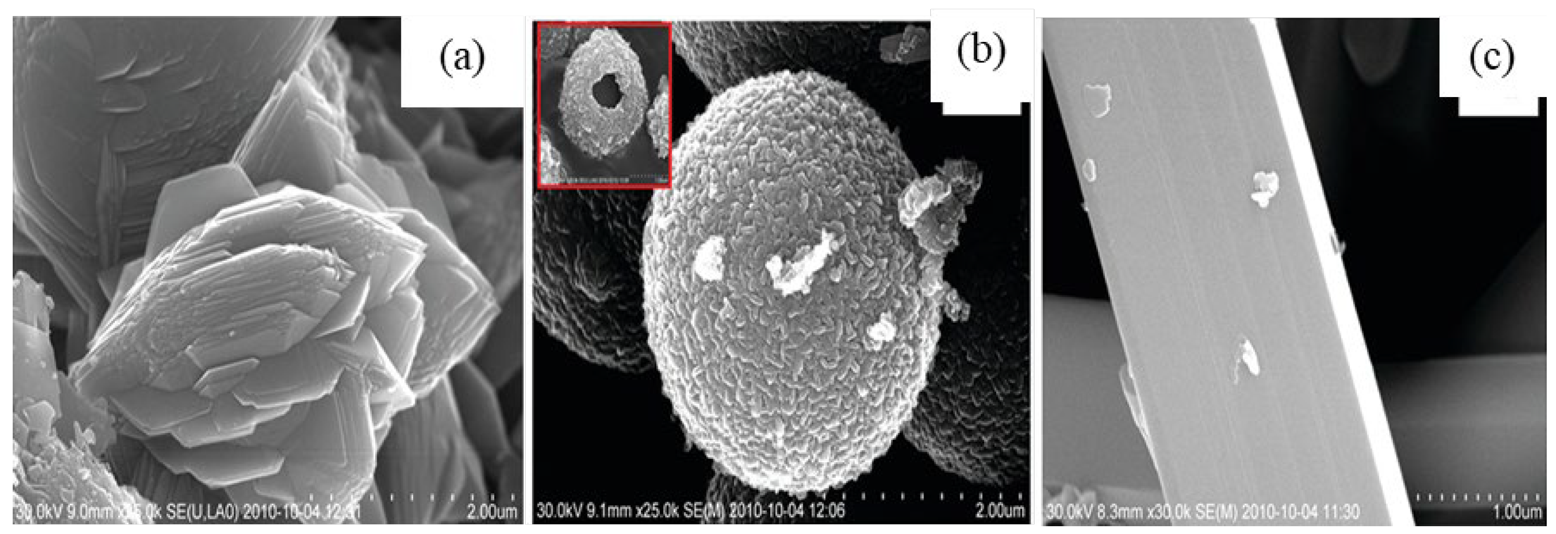 Nanomaterials 12 03601 g014 Nanomaterials 12 03601 g014