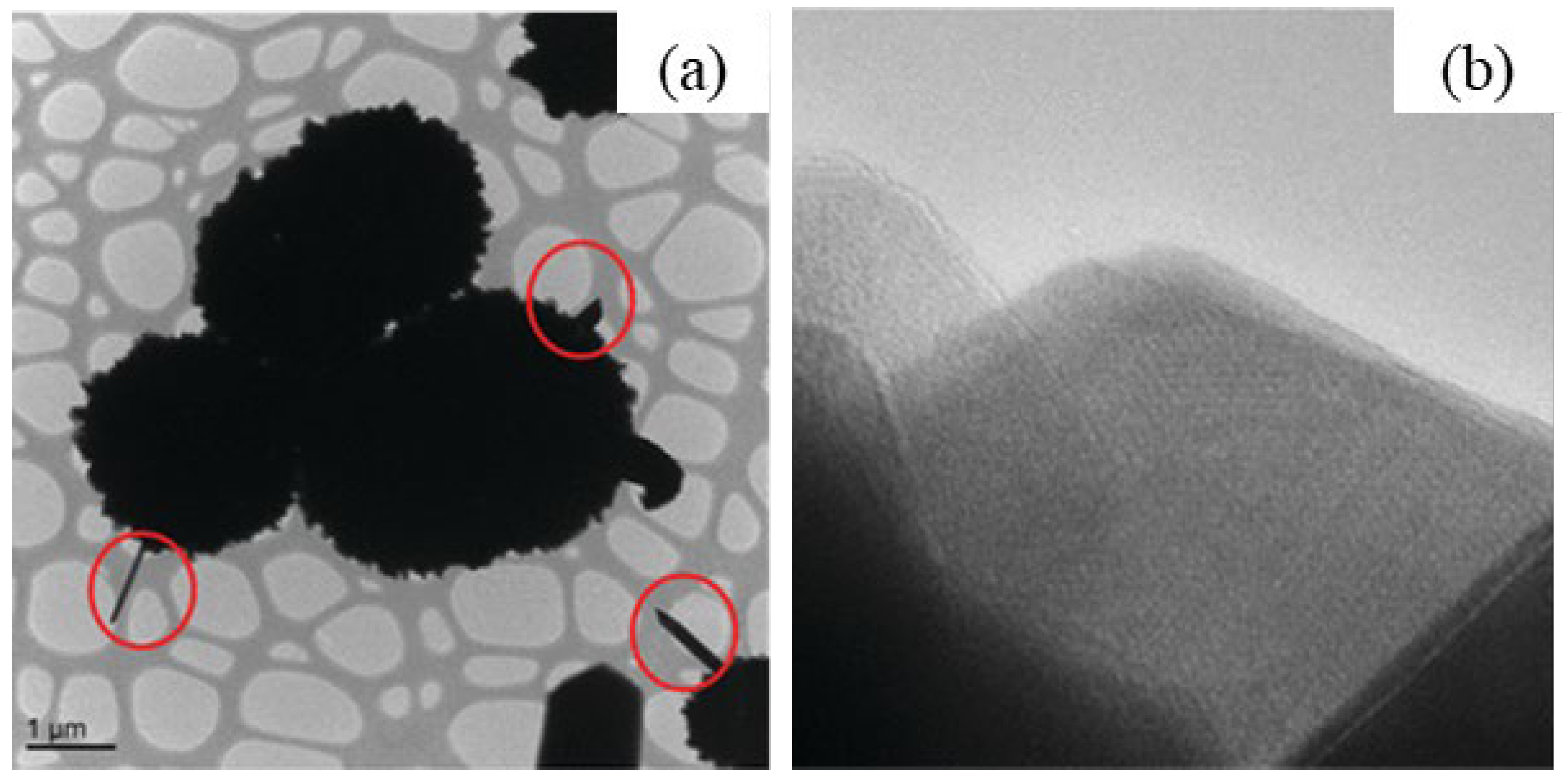 Nanomaterials 12 03601 g015 Nanomaterials 12 03601 g015