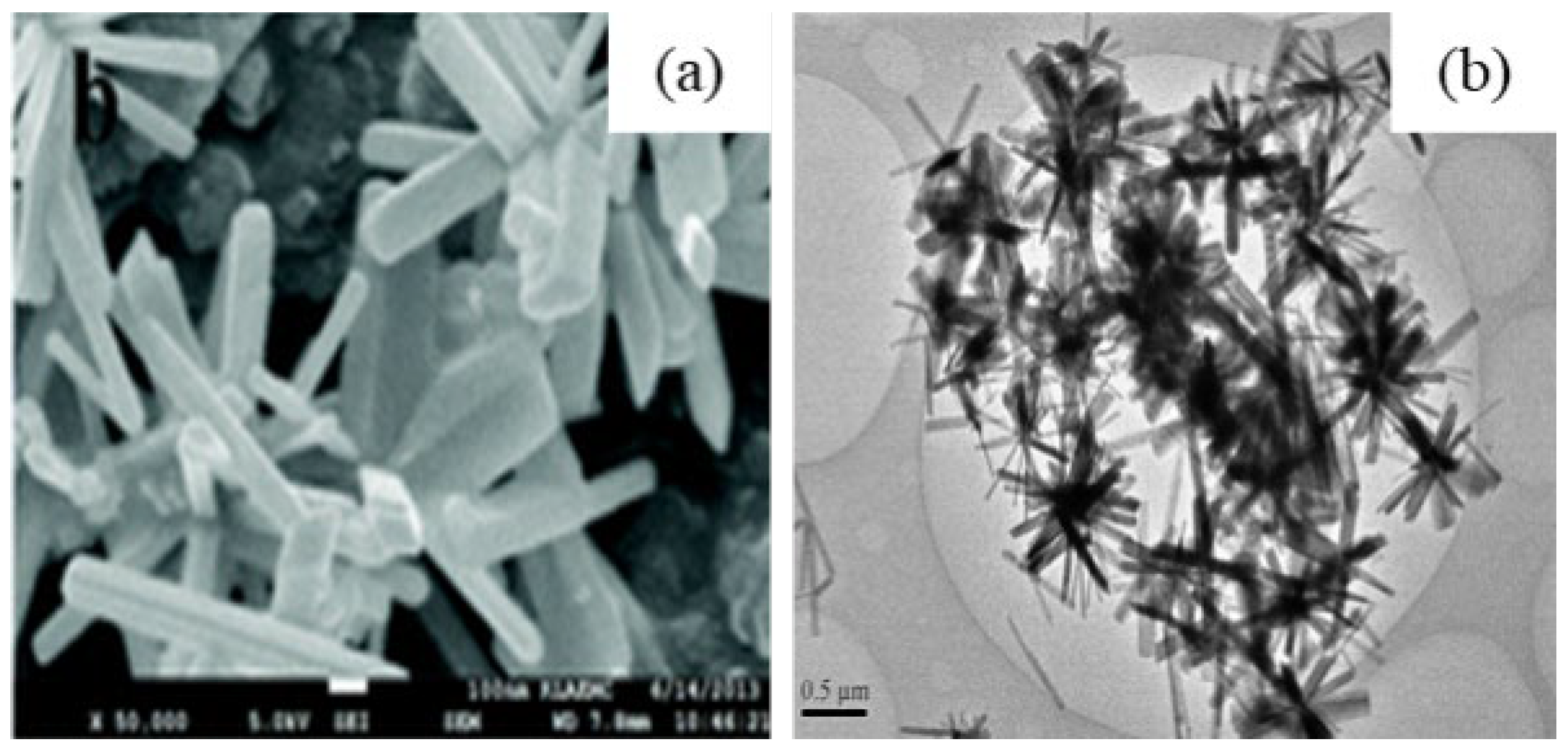 Nanomaterials 12 03601 g016 Nanomaterials 12 03601 g016