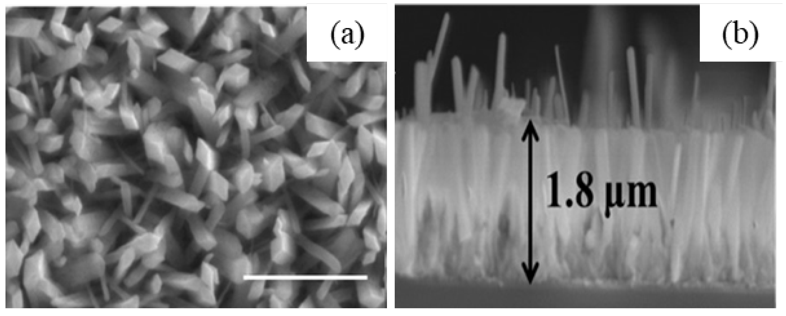 Nanomaterials 12 03601 g020 Nanomaterials 12 03601 g020
