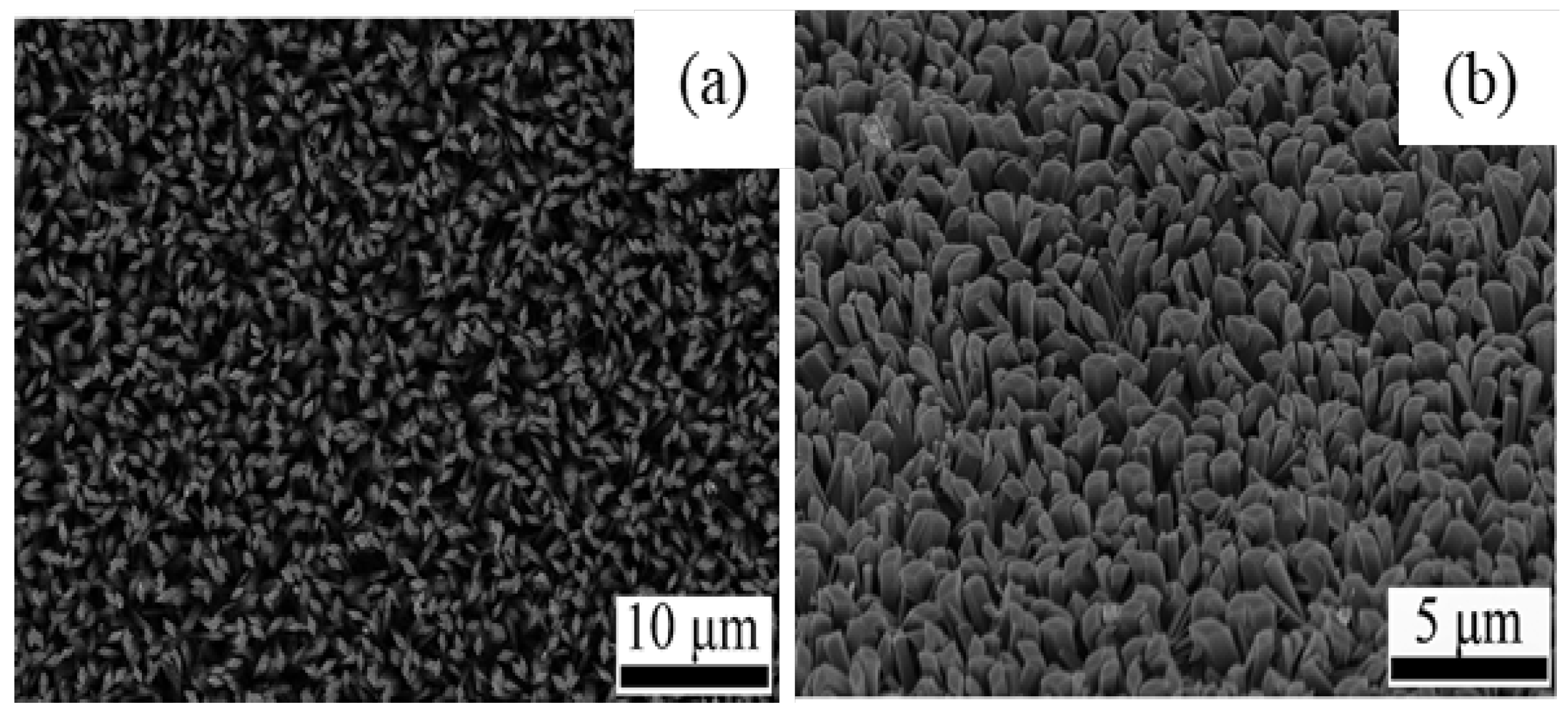 Nanomaterials 12 03601 g021 Nanomaterials 12 03601 g021