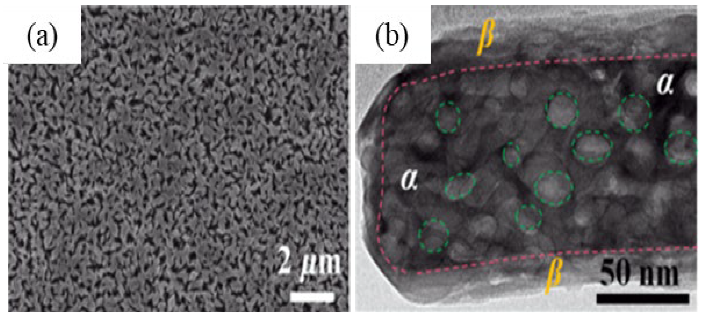 Nanomaterials 12 03601 g022 Nanomaterials 12 03601 g022