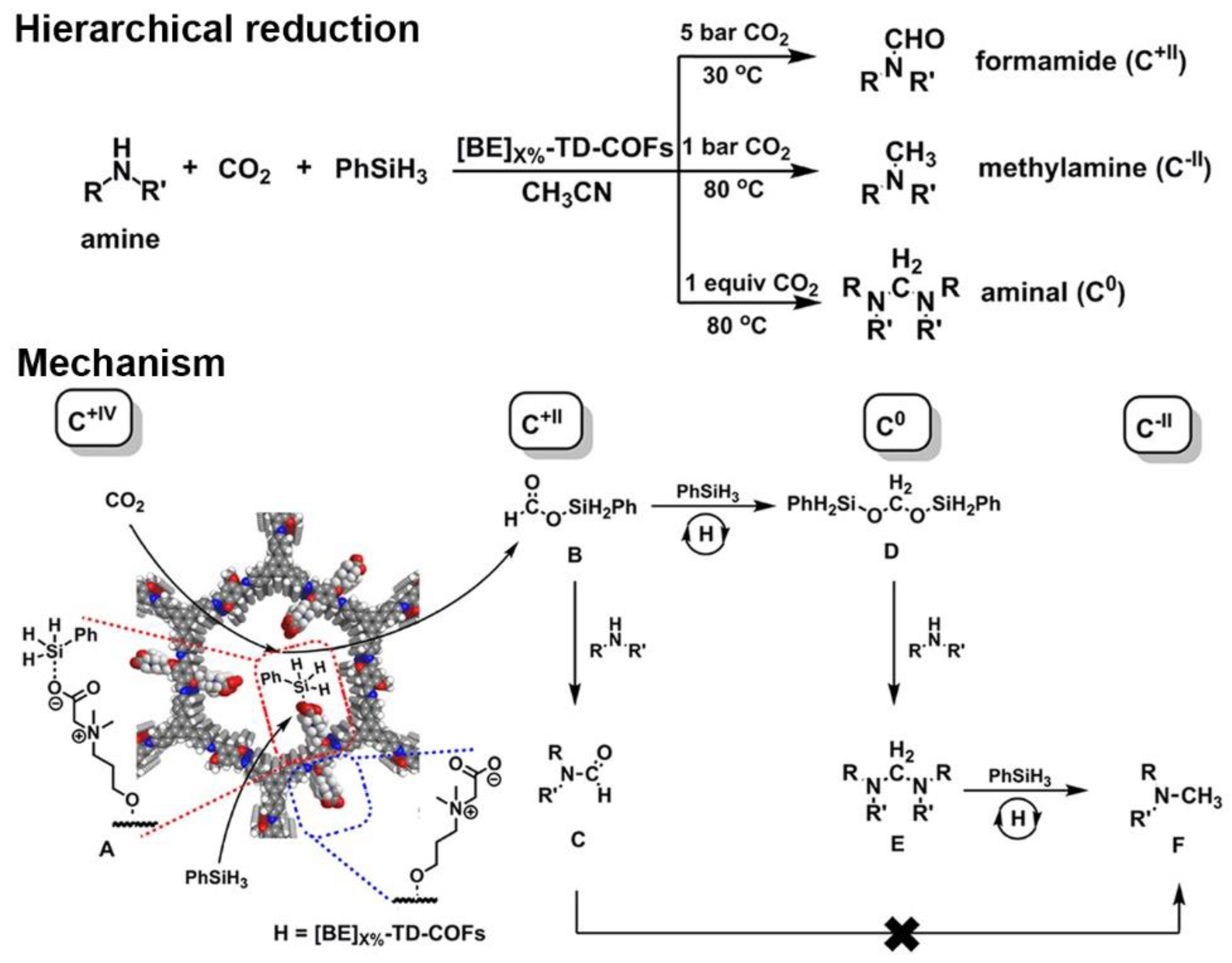 Nanomaterials 12 03615 g013