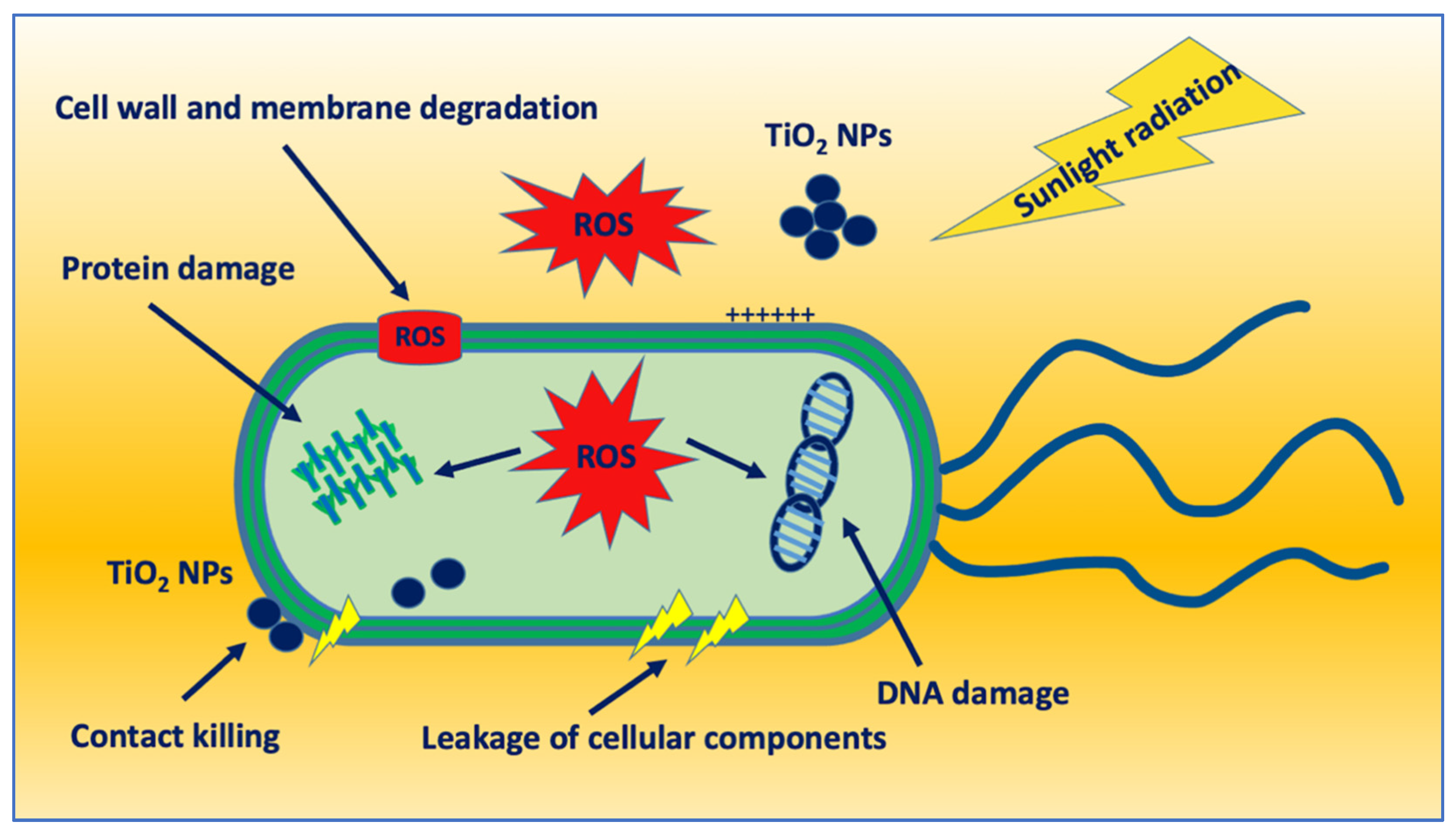 Nanomaterials 12 03616 g003 Nanomaterials 12 03616 g003