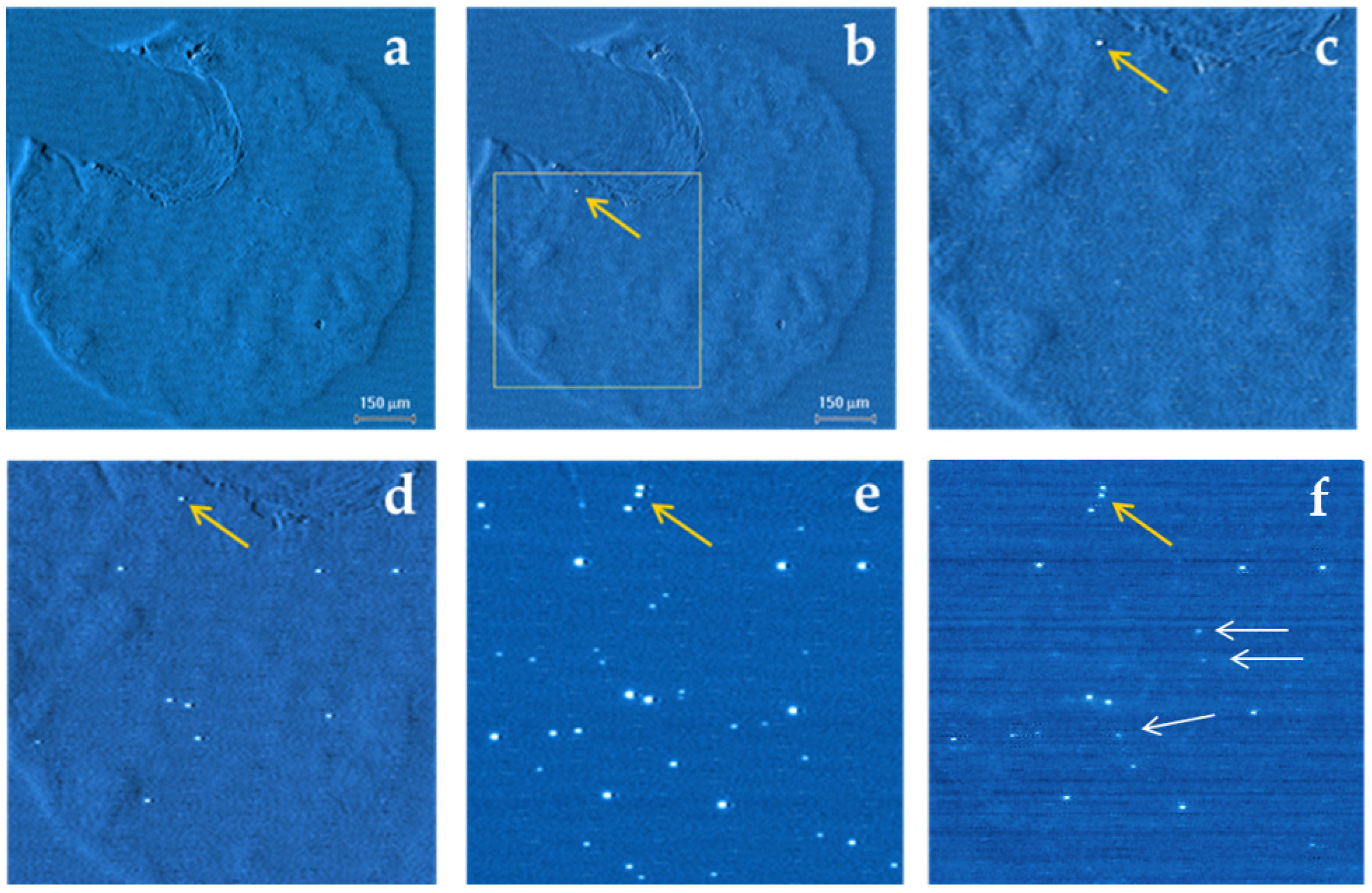 Nanomaterials 12 03626 g003