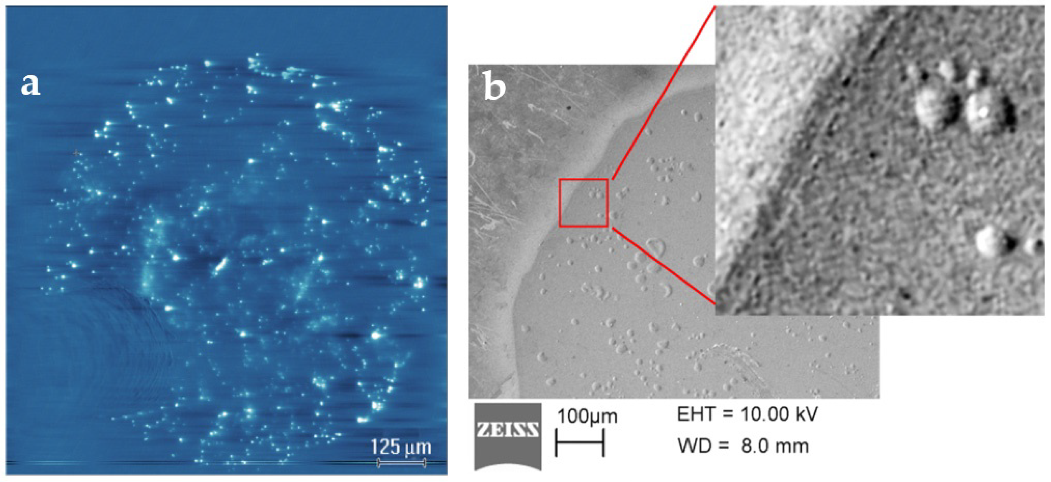 Nanomaterials 12 03626 g004