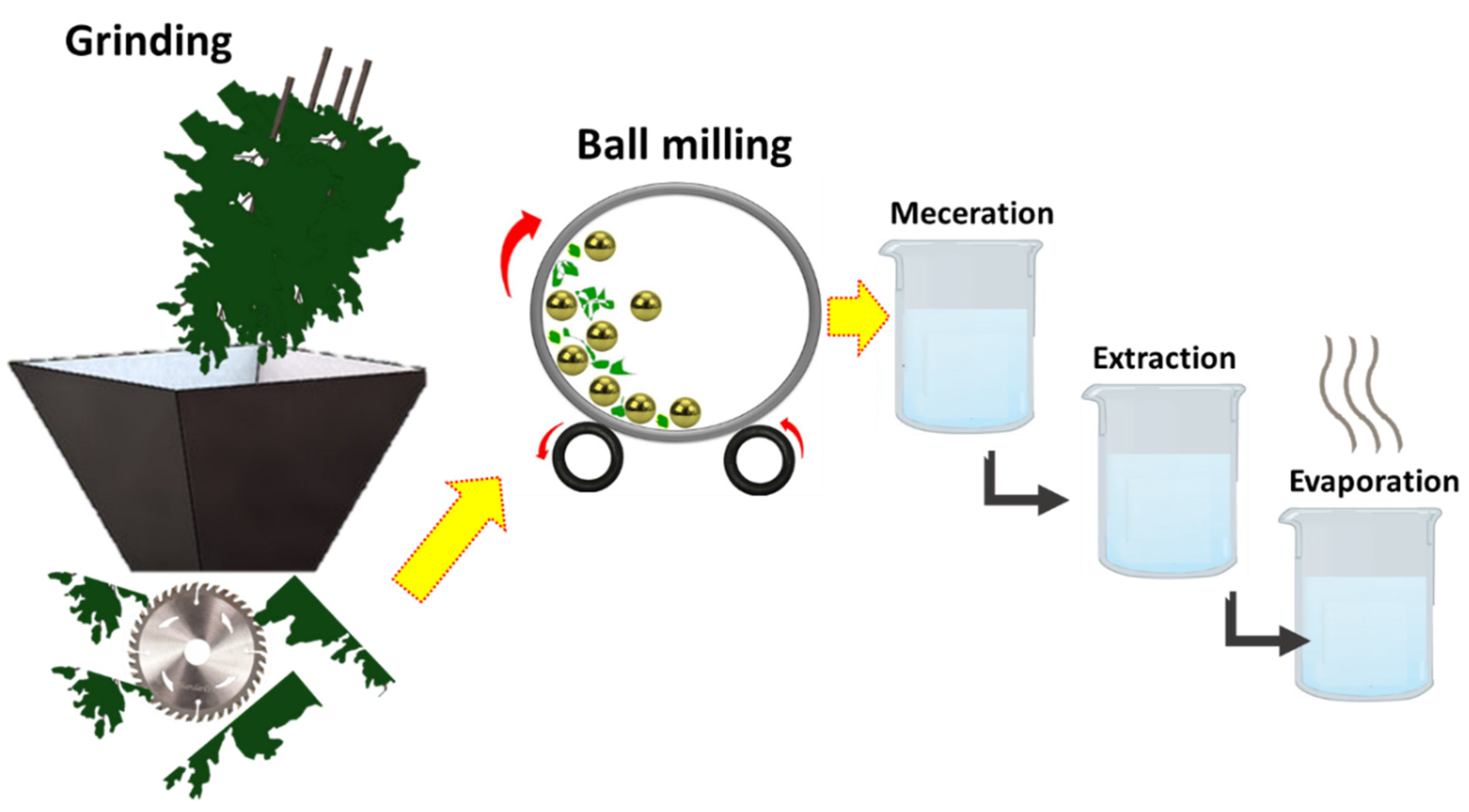 Nanomaterials 12 03629 g003