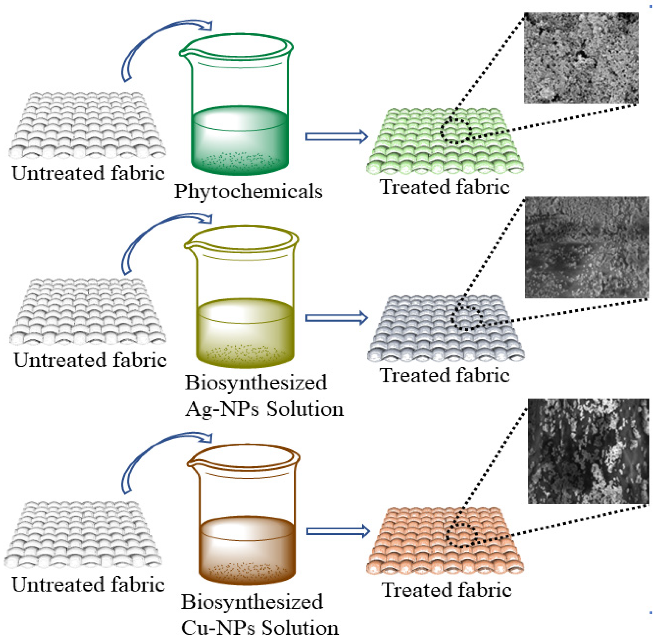 Nanomaterials 12 03629 g004