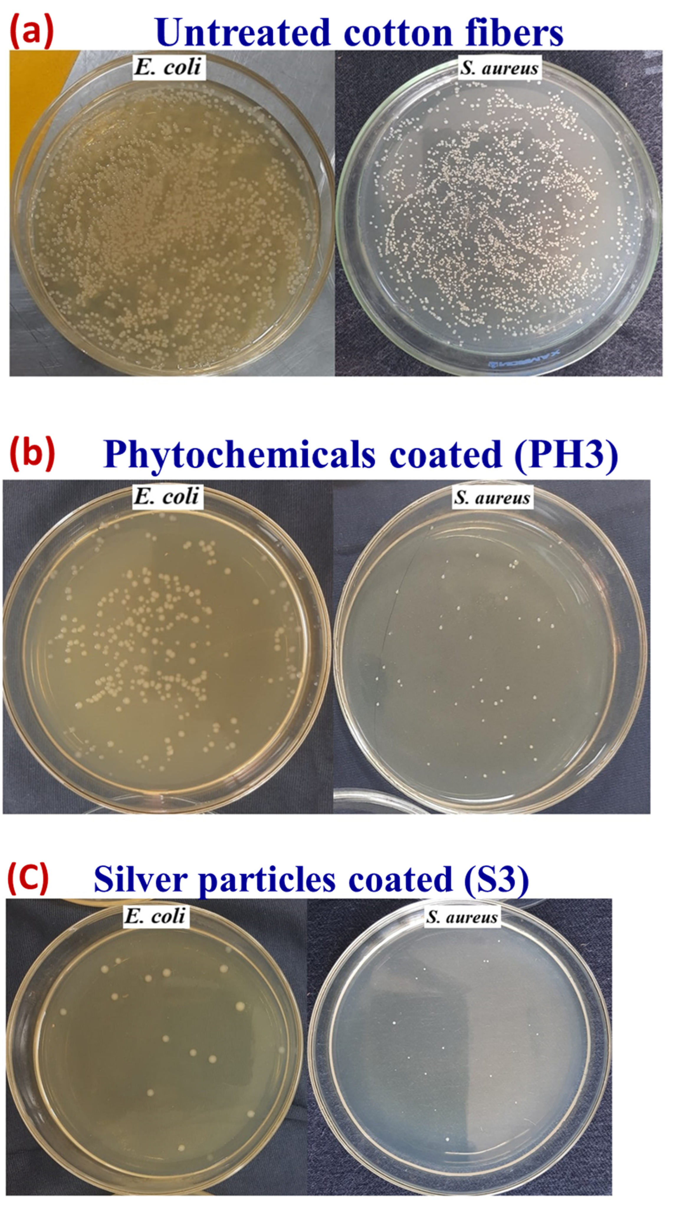 Nanomaterials 12 03629 g015a