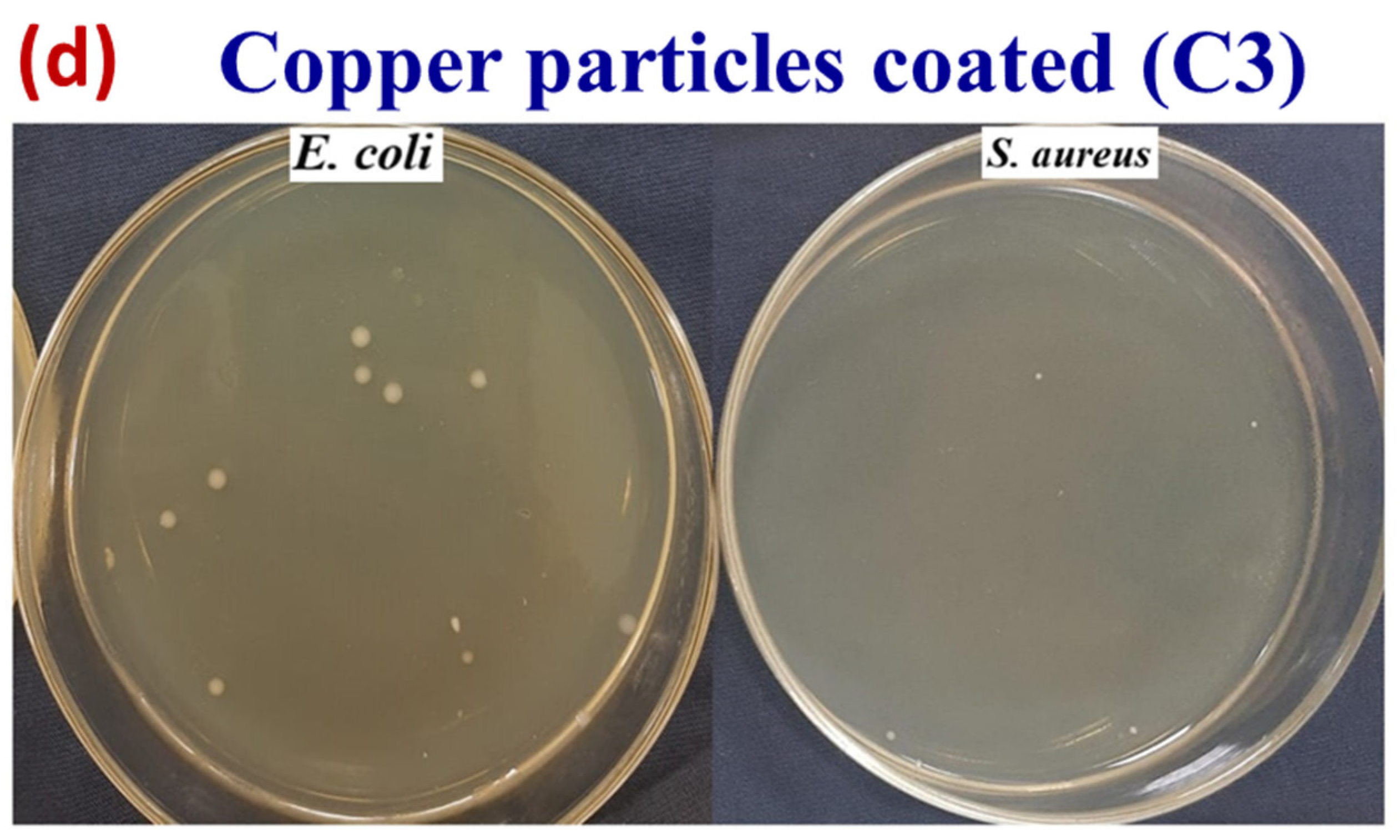 Nanomaterials 12 03629 g015b