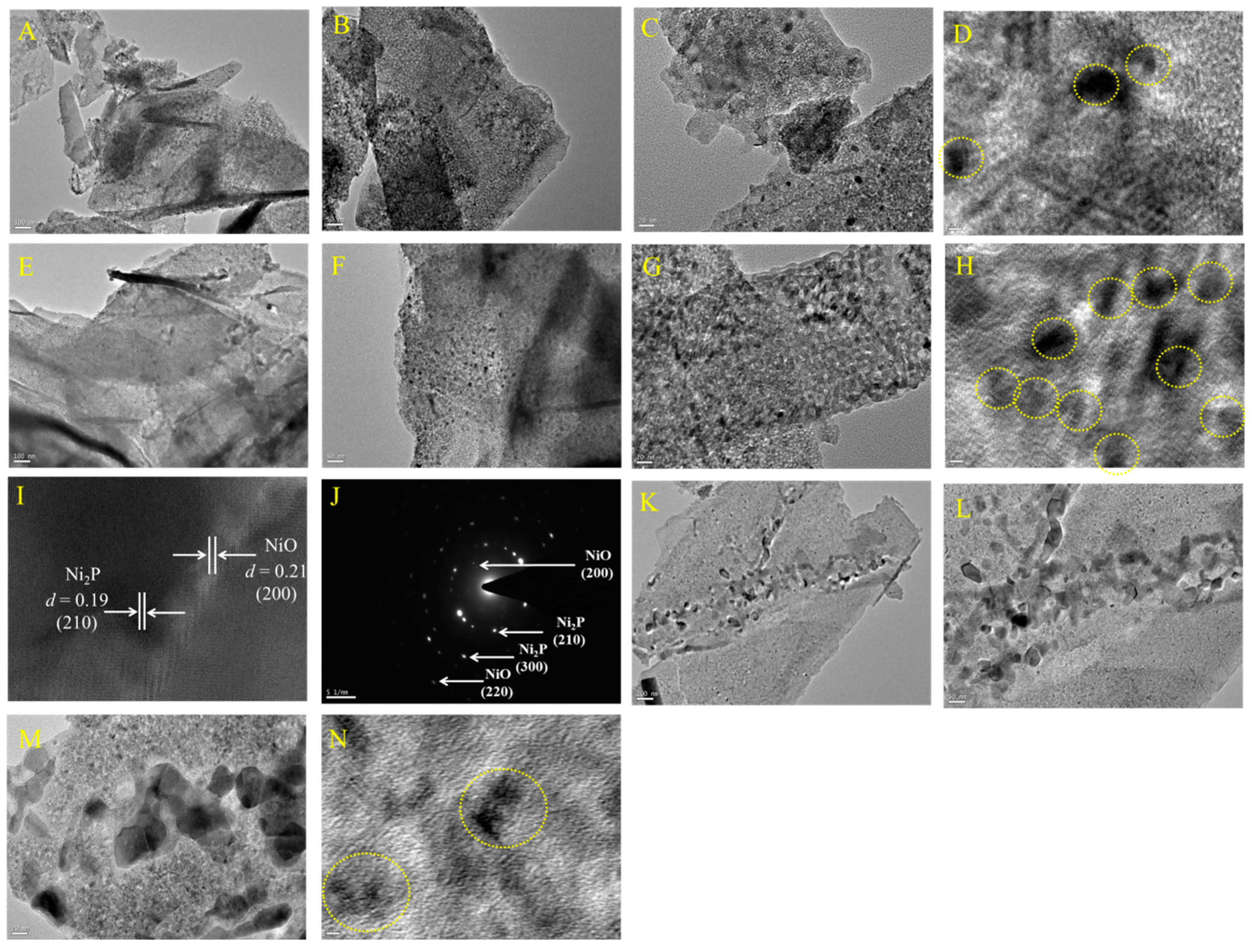 Nanomaterials 12 03633 g003 Nanomaterials 12 03633 g003
