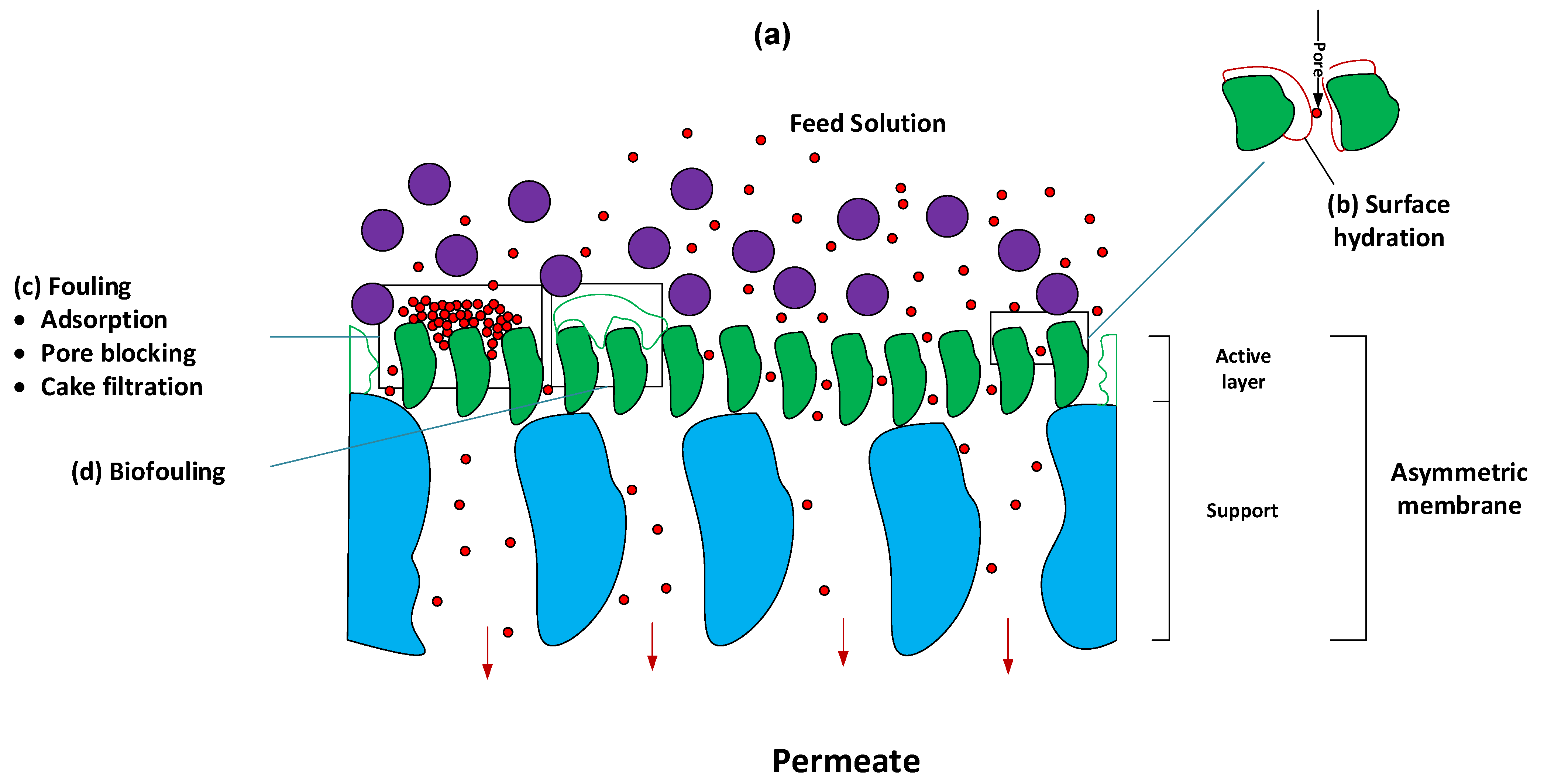 Nanomaterials 12 03637 g009 Nanomaterials 12 03637 g009