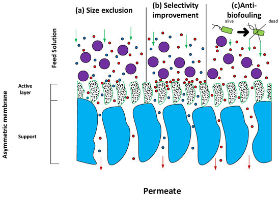AQ -永久- / GET IN THE RING Factors Affecting Dust Retention in Urban Parks Across Site