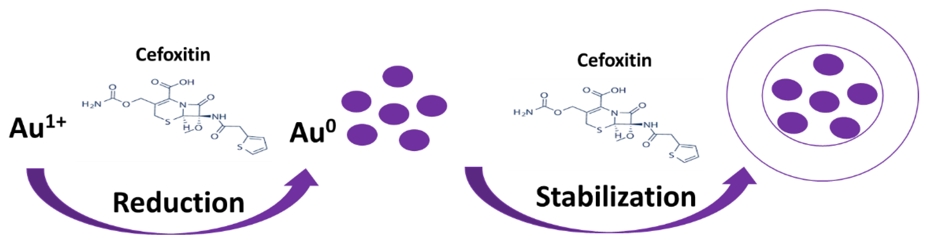 Nanomaterials 12 03643 g001 Nanomaterials 12 03643 g001