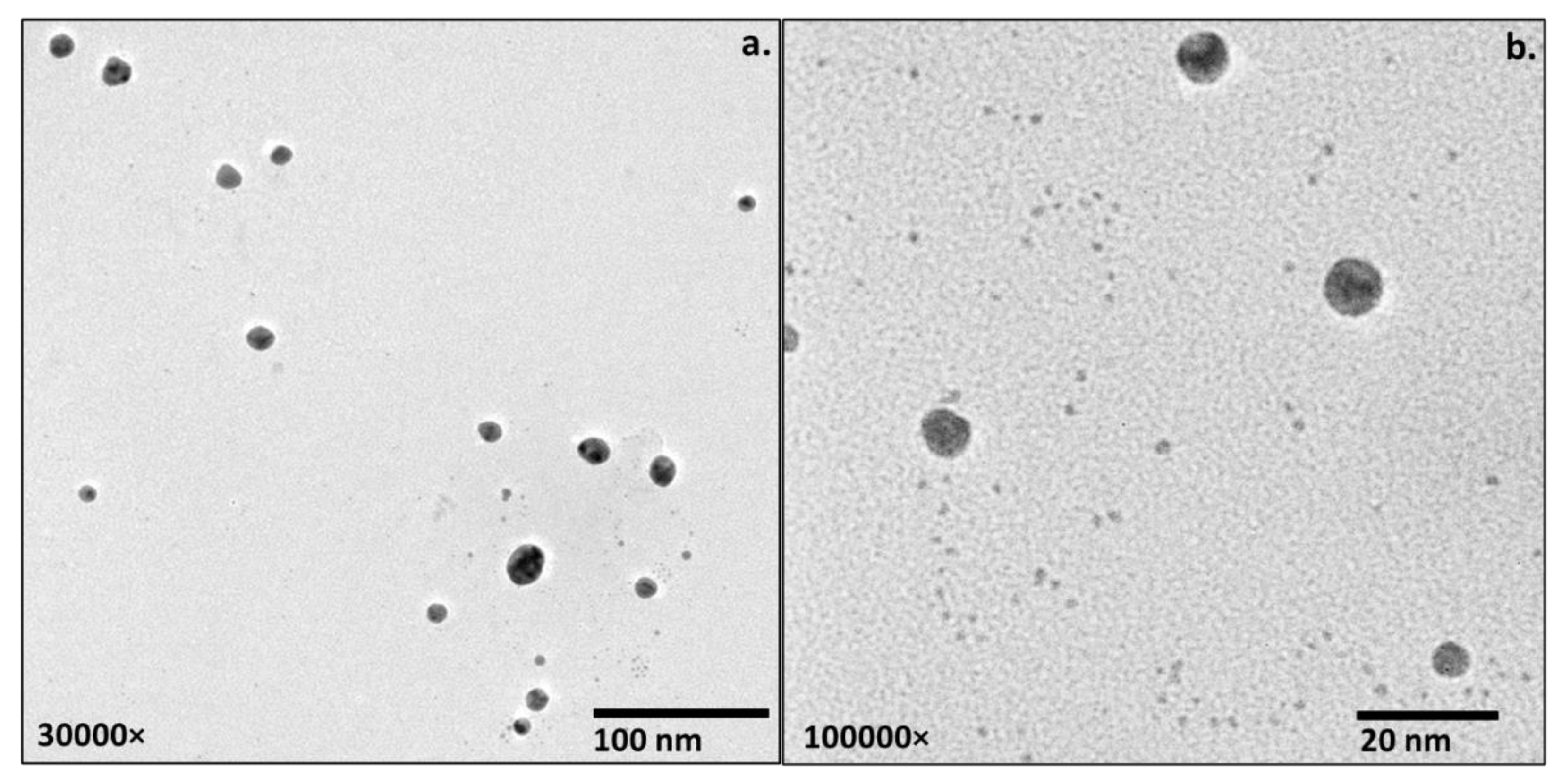 Nanomaterials 12 03643 g004 Nanomaterials 12 03643 g004