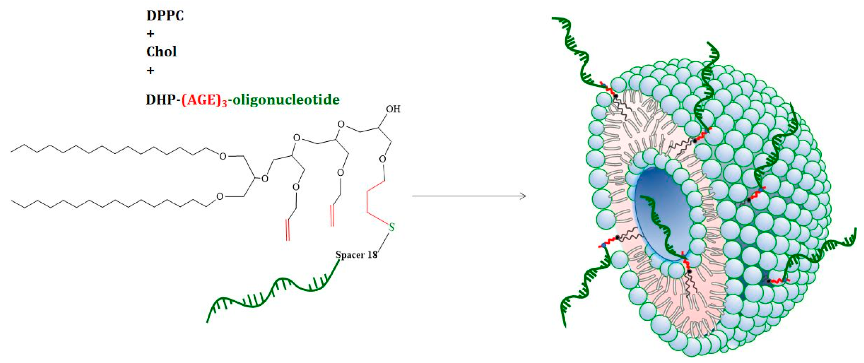 Nanomaterials 12 03645 g003 Nanomaterials 12 03645 g003