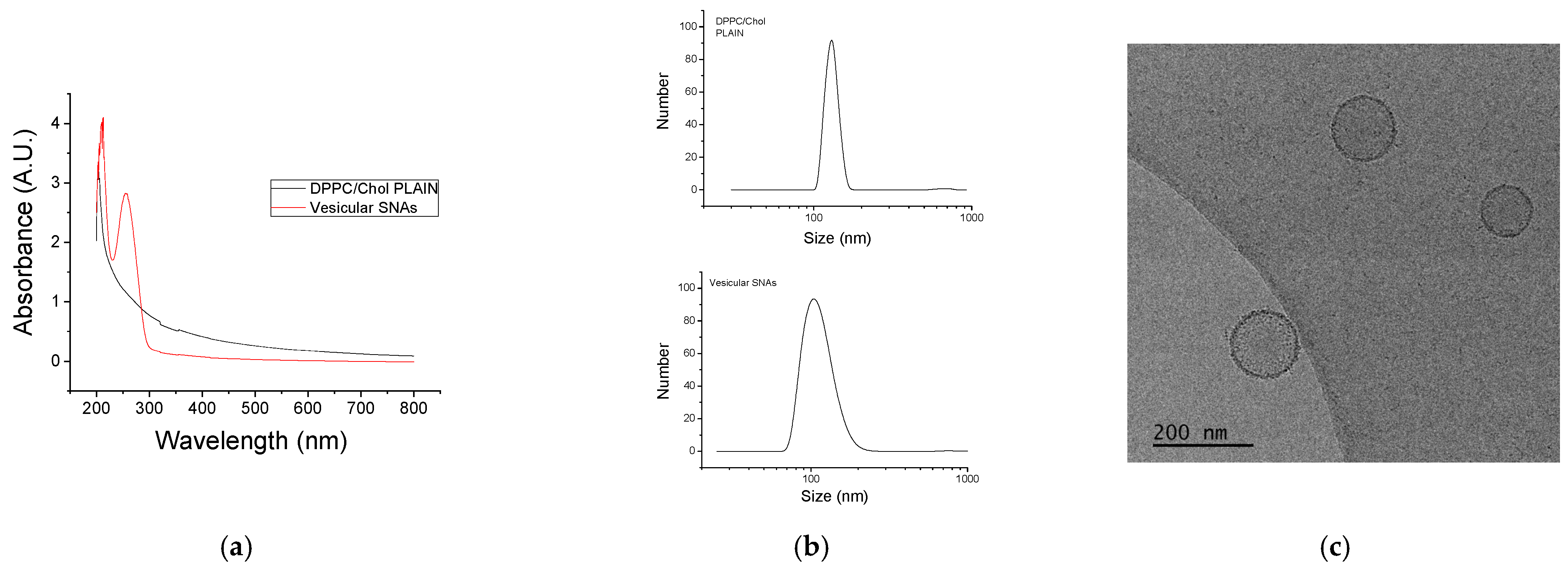 Nanomaterials 12 03645 g004 Nanomaterials 12 03645 g004