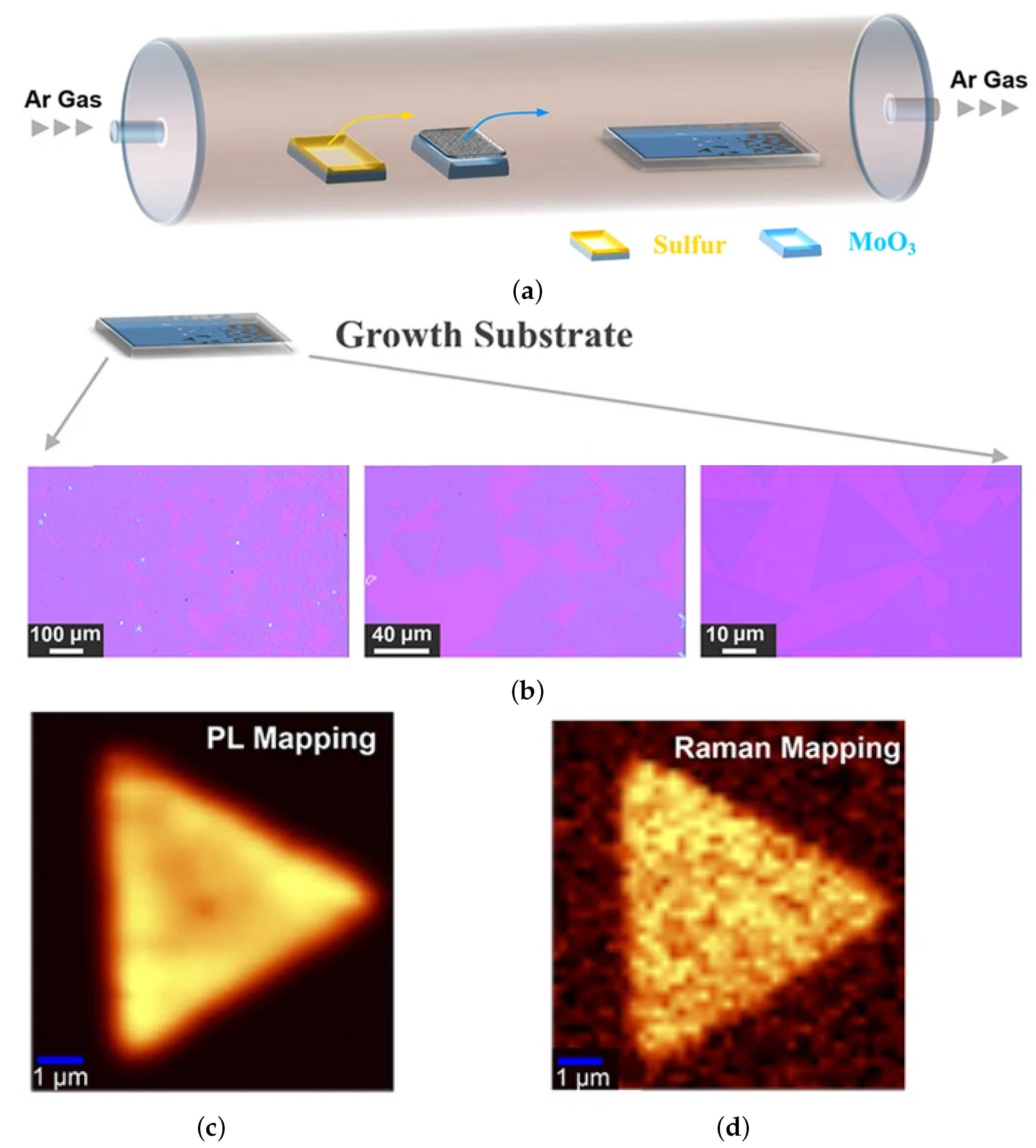 Nanomaterials 12 03651 g012 Nanomaterials 12 03651 g012