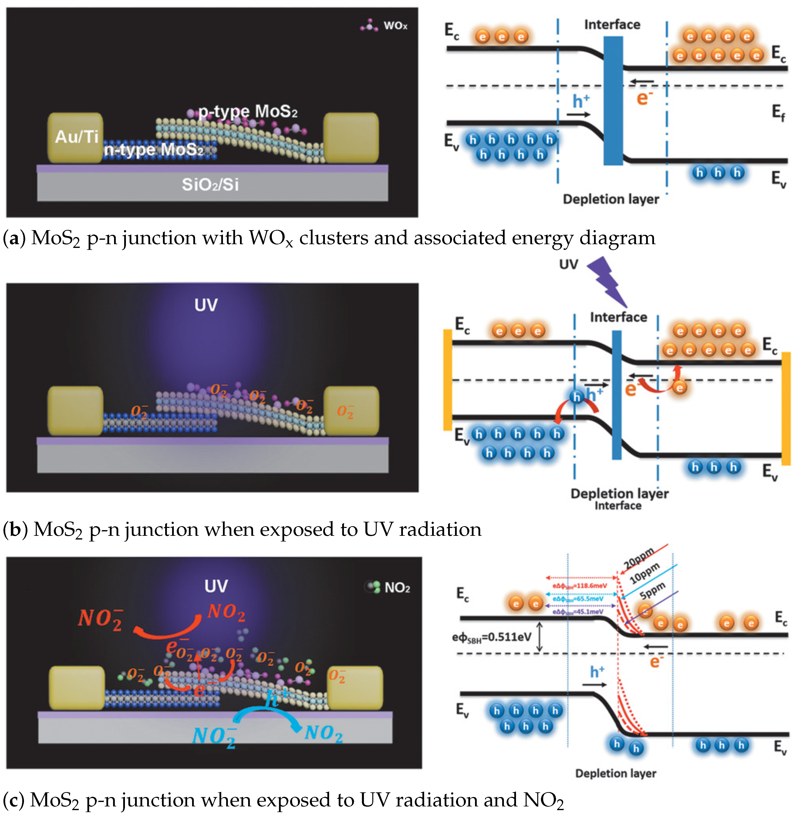 Nanomaterials 12 03651 g035 Nanomaterials 12 03651 g035