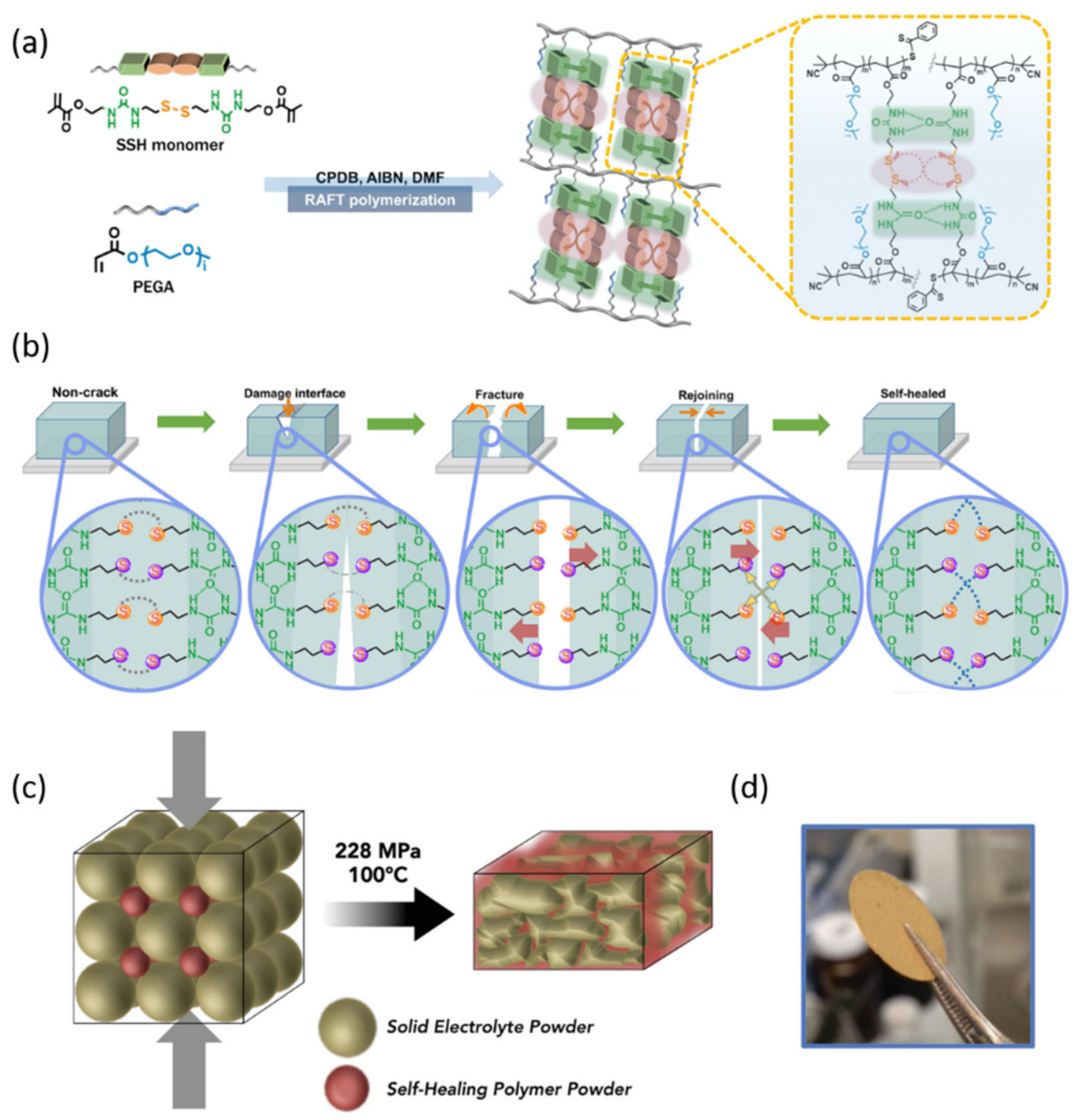 Nanomaterials 12 03656 g007