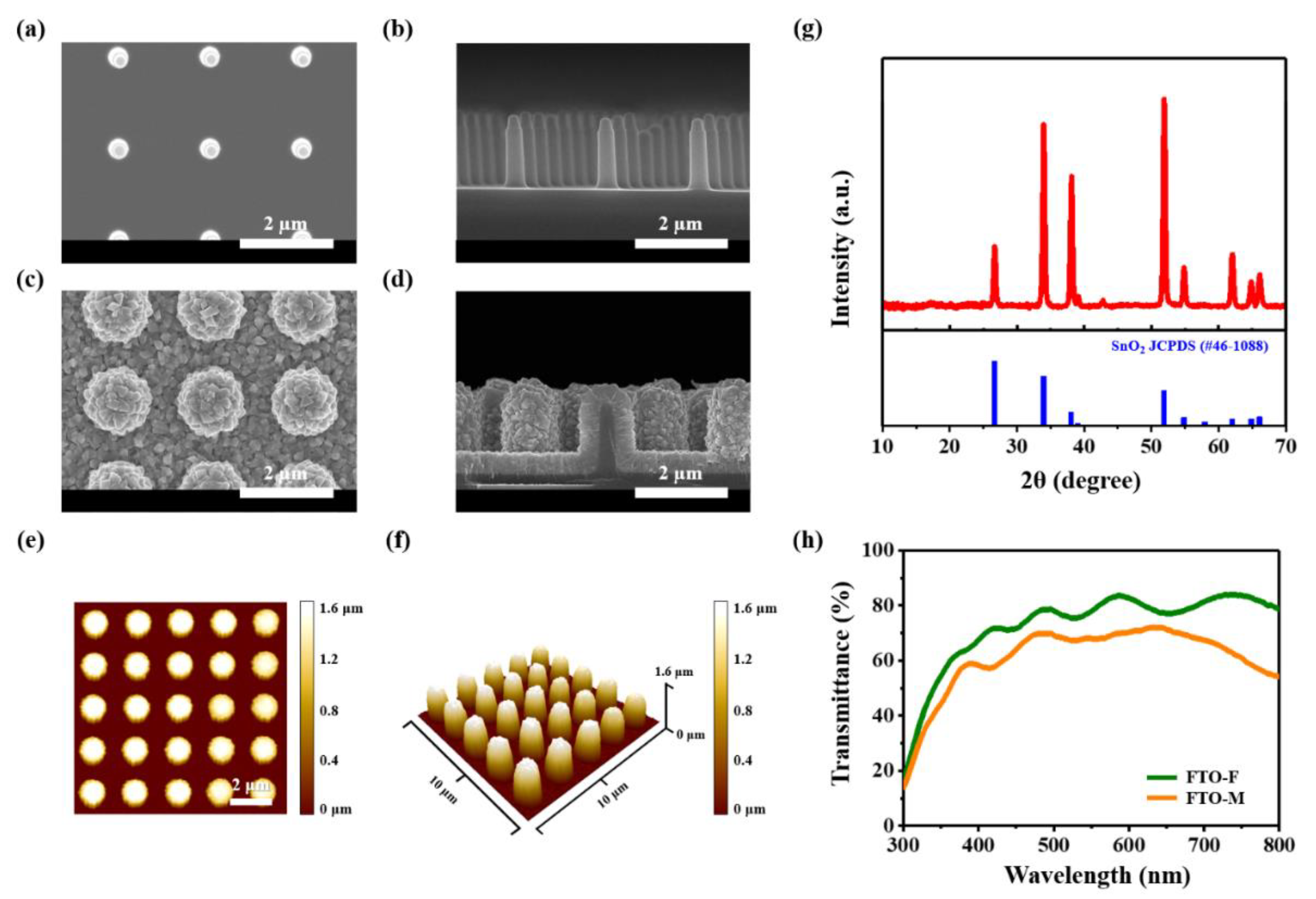 Nanomaterials 12 03664 g001
