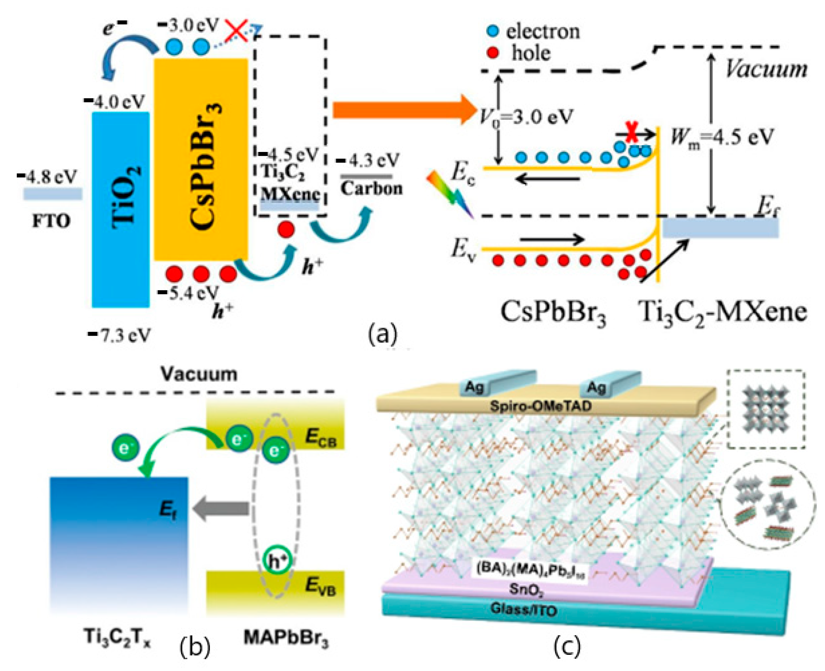 Nanomaterials 12 03666 g004