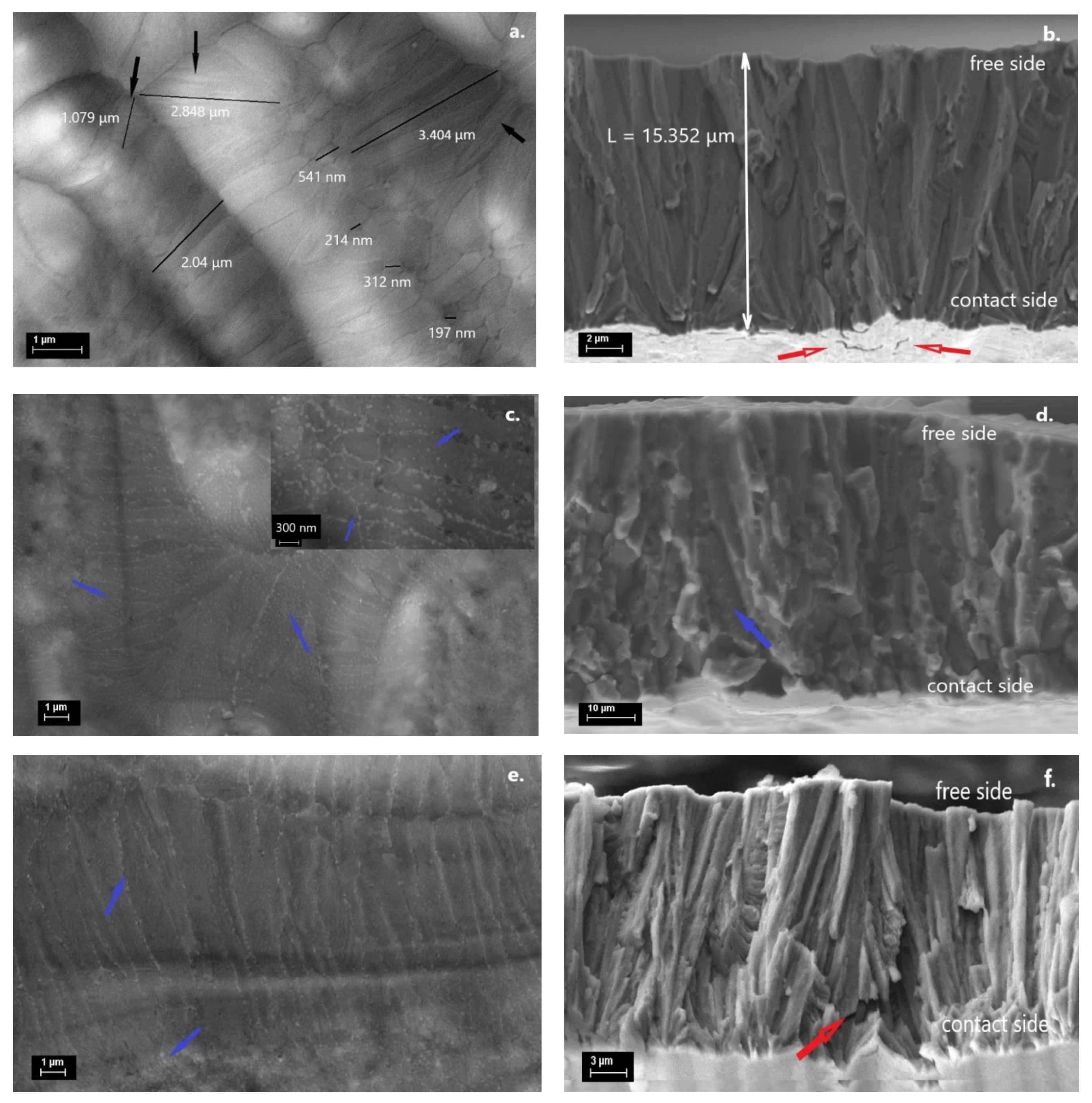 Nanomaterials 12 03667 g003 Nanomaterials 12 03667 g003