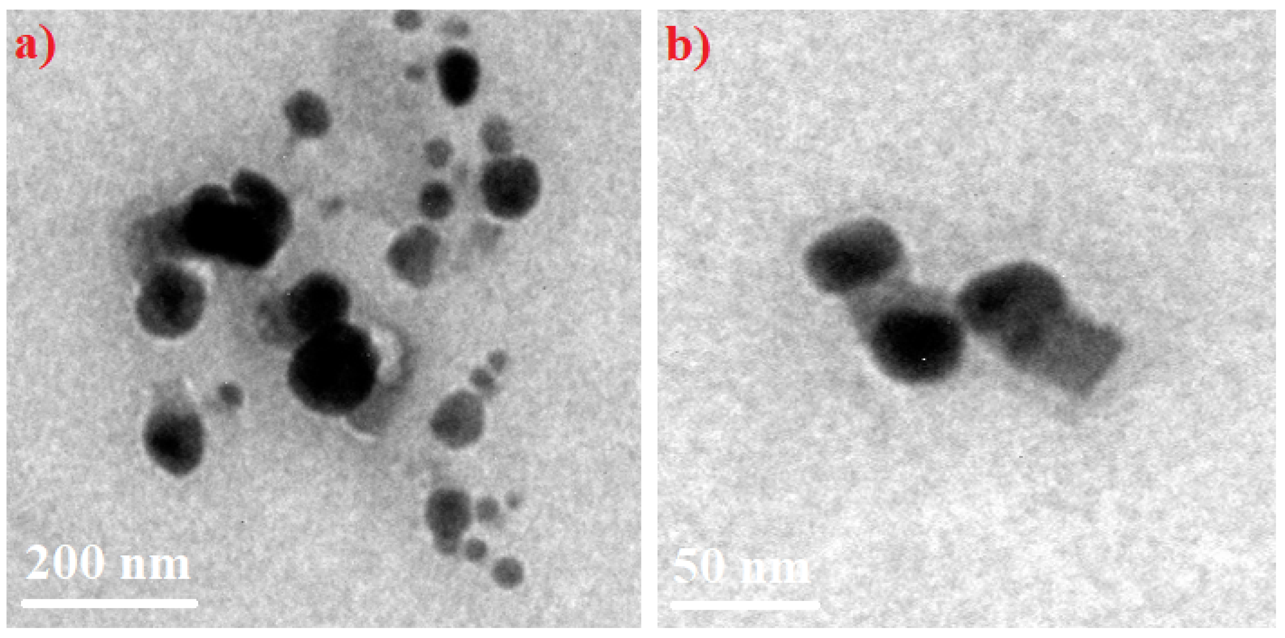 Nanomaterials 12 03668 g007 Nanomaterials 12 03668 g007