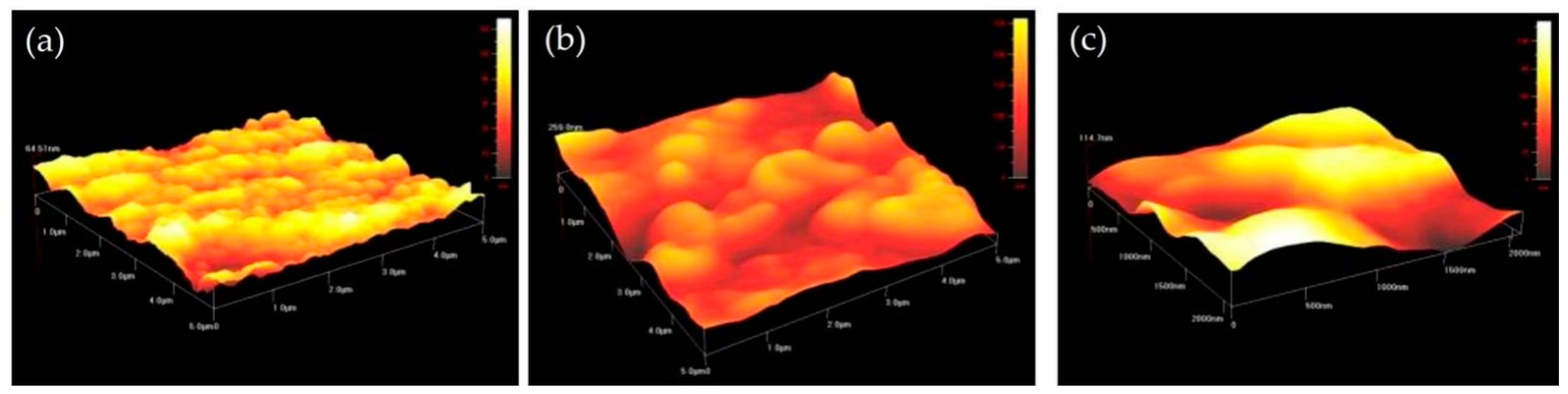 Nanomaterials 12 03670 g012