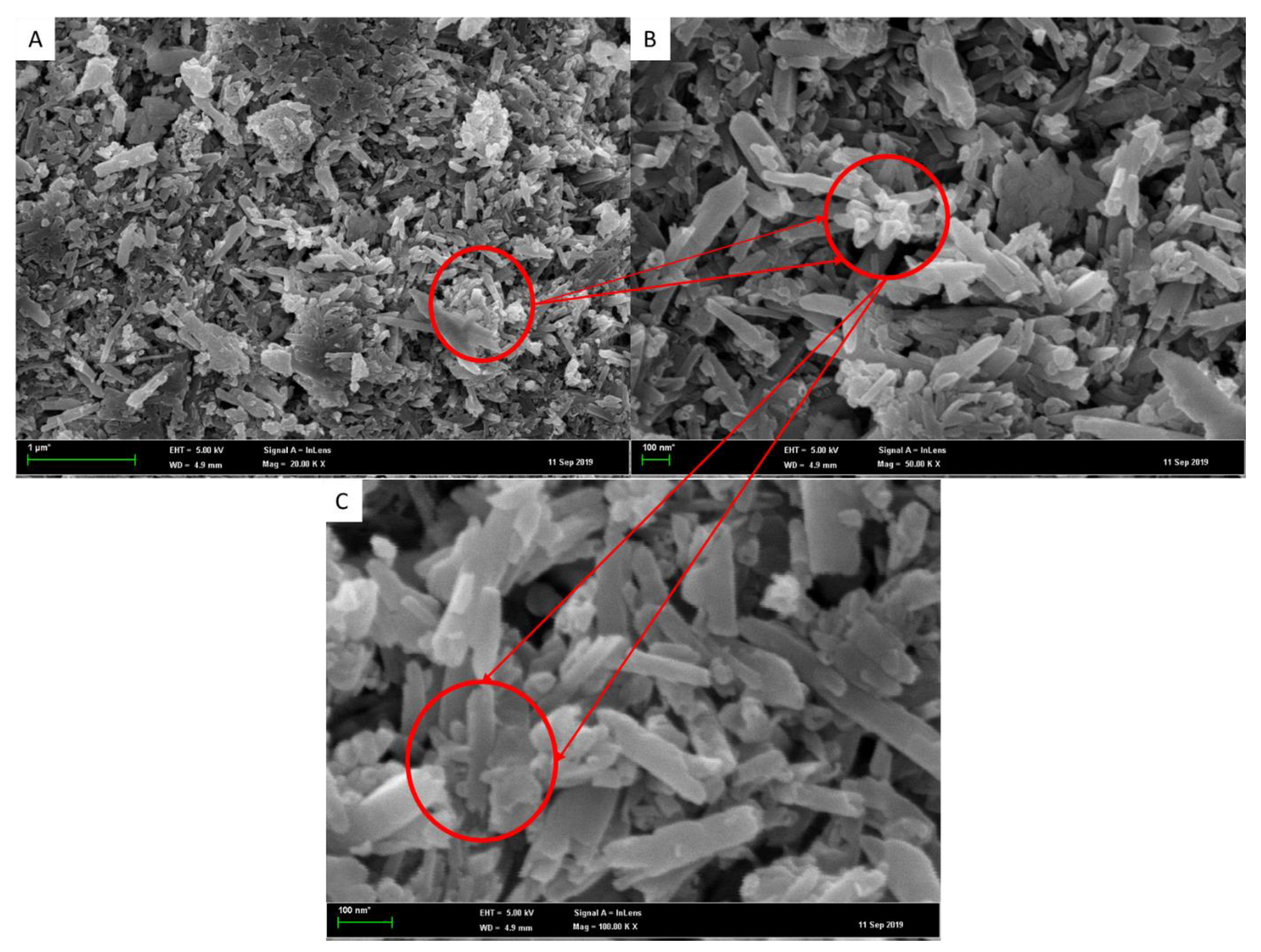 Nanomaterials 12 03673 g001