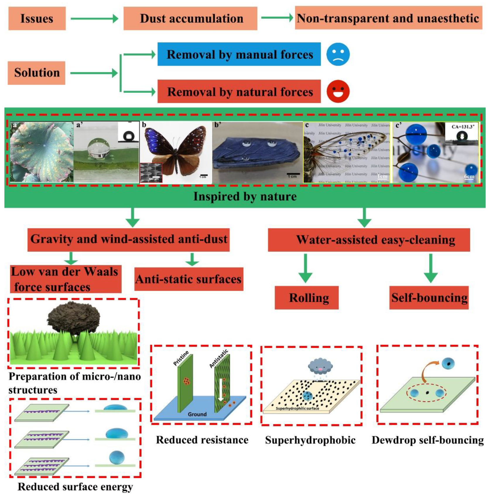 Nanomaterials 12 03677 g001