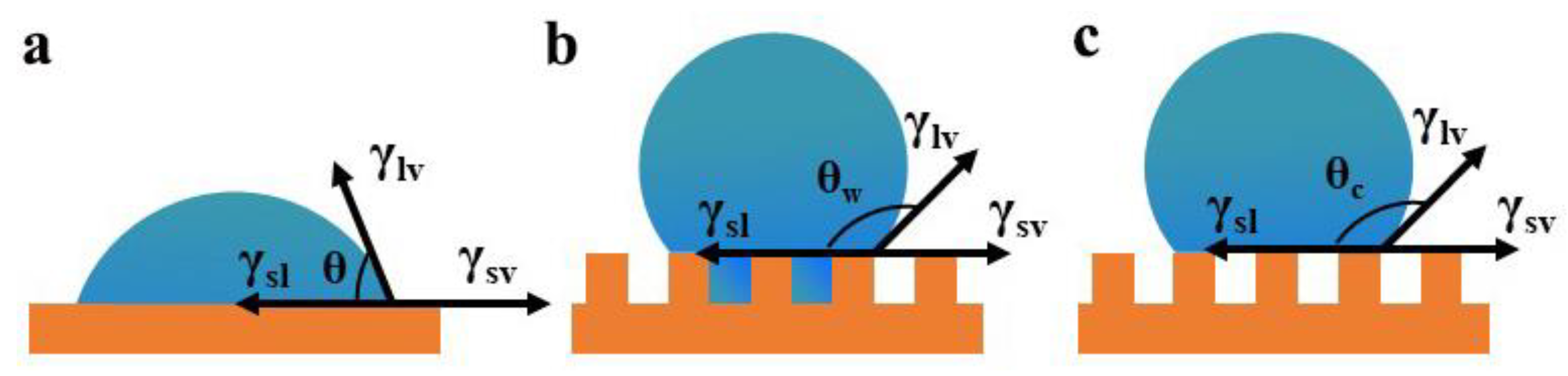 Nanomaterials 12 03677 g010